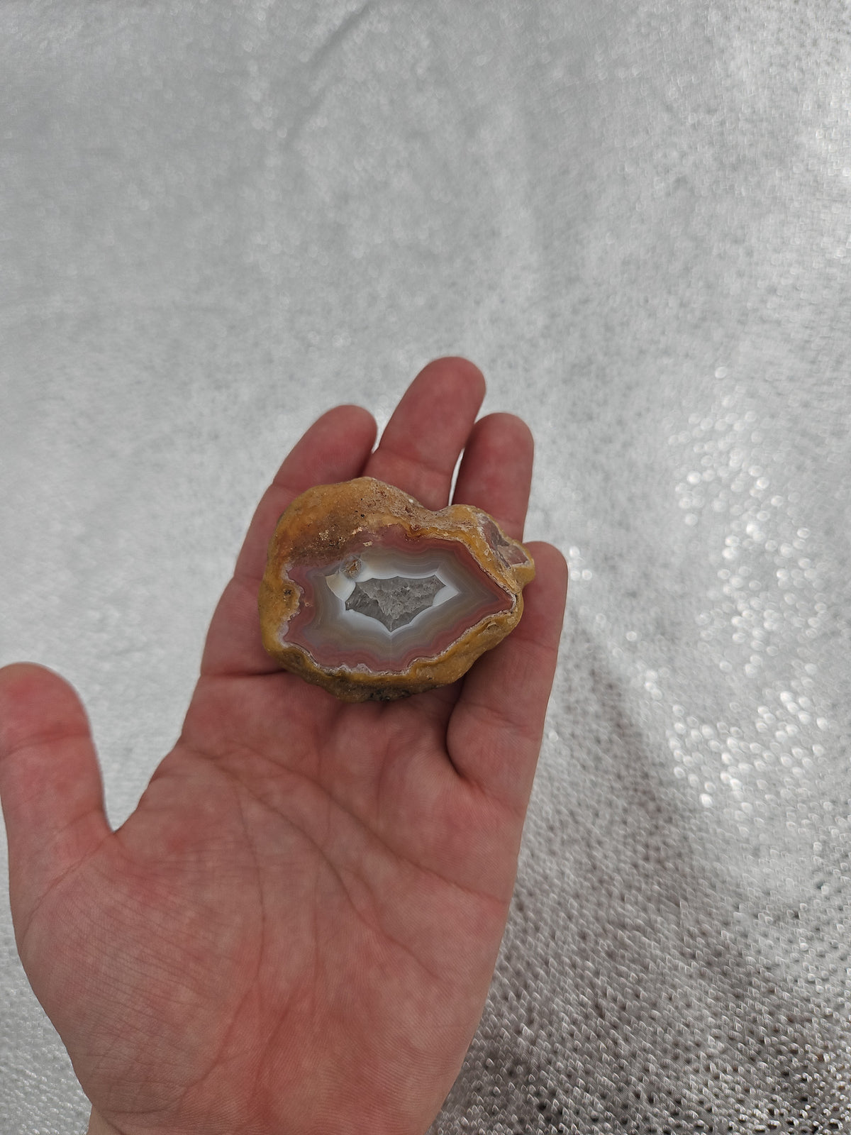 Banded Agate Geode - 2.5 in, Canada