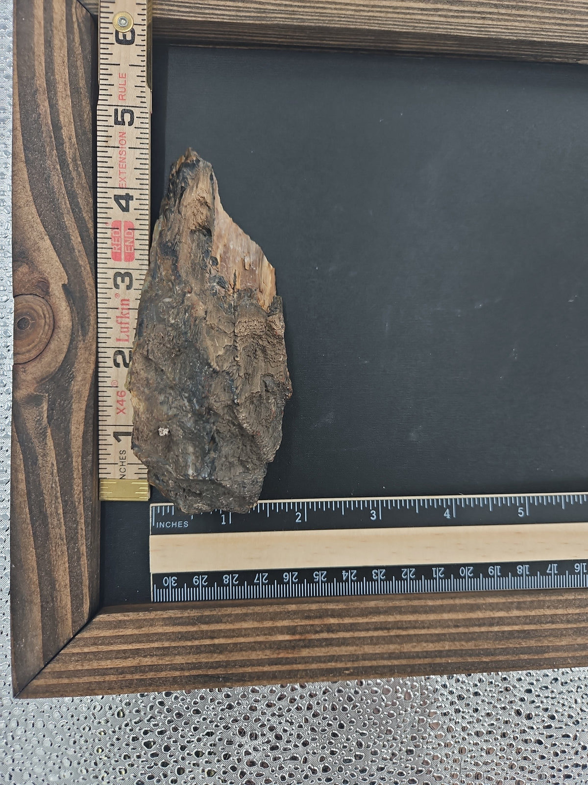 Interesting Petrified Wood