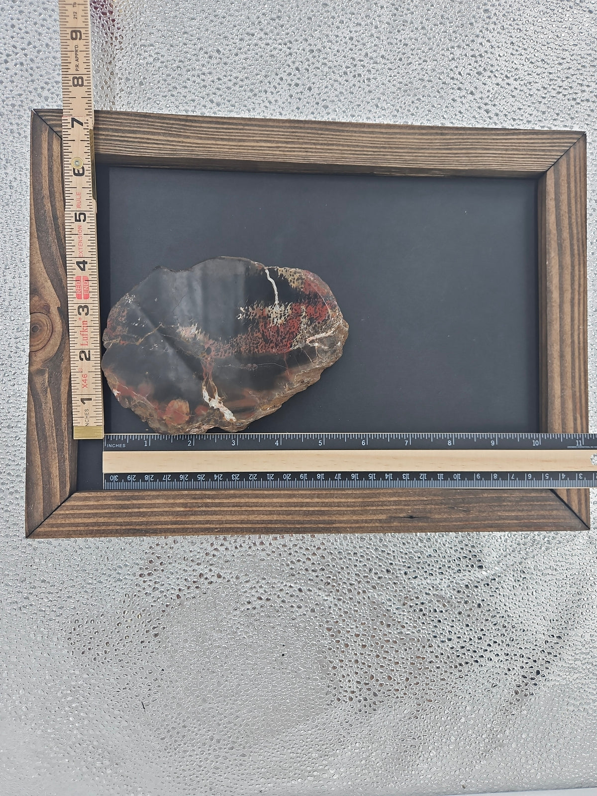 Natural Petrified Wood Fossil - 5.2 in
