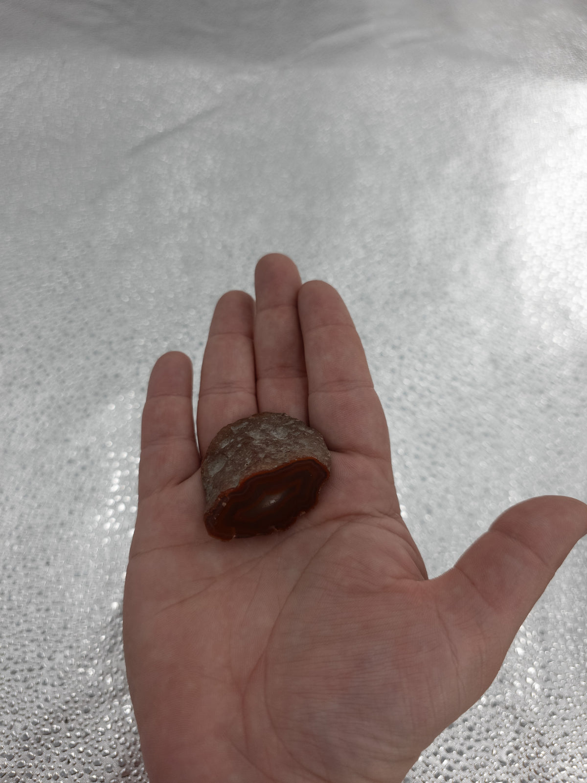 Natural Coyamito Agate from Northern Mexico