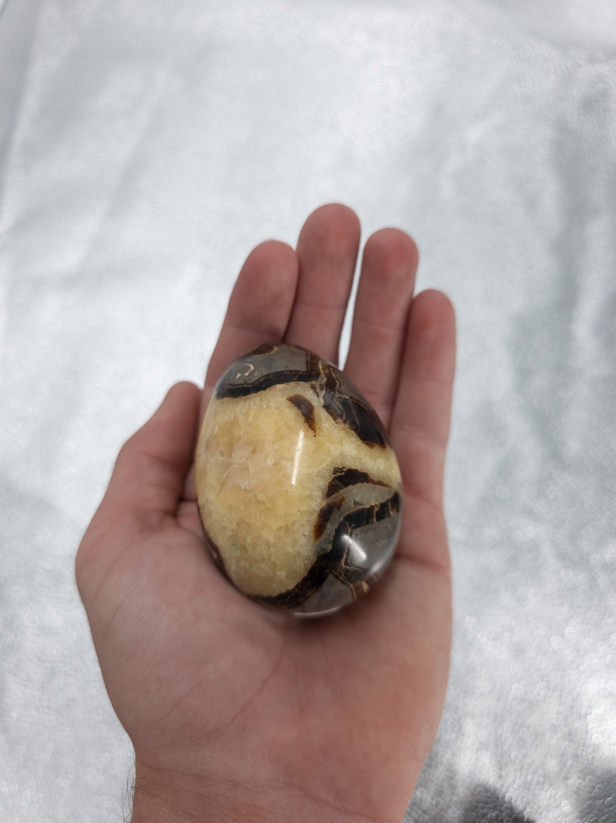 Collector Septarian Egg