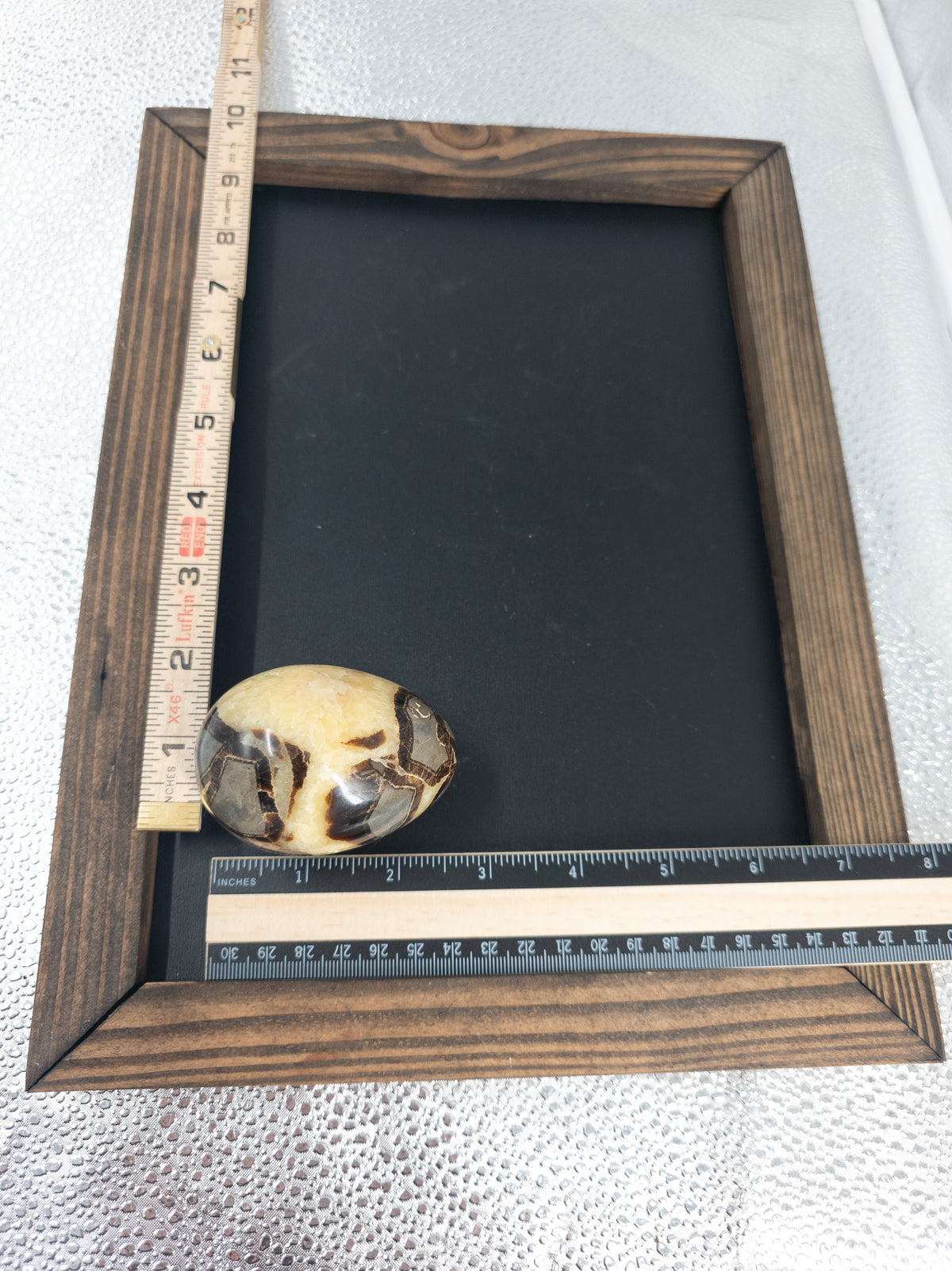 Collector Septarian Egg