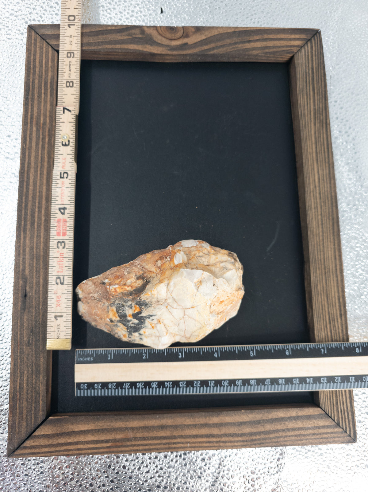 Fossilized Peanut Driftwood - 5 in, Western Australia