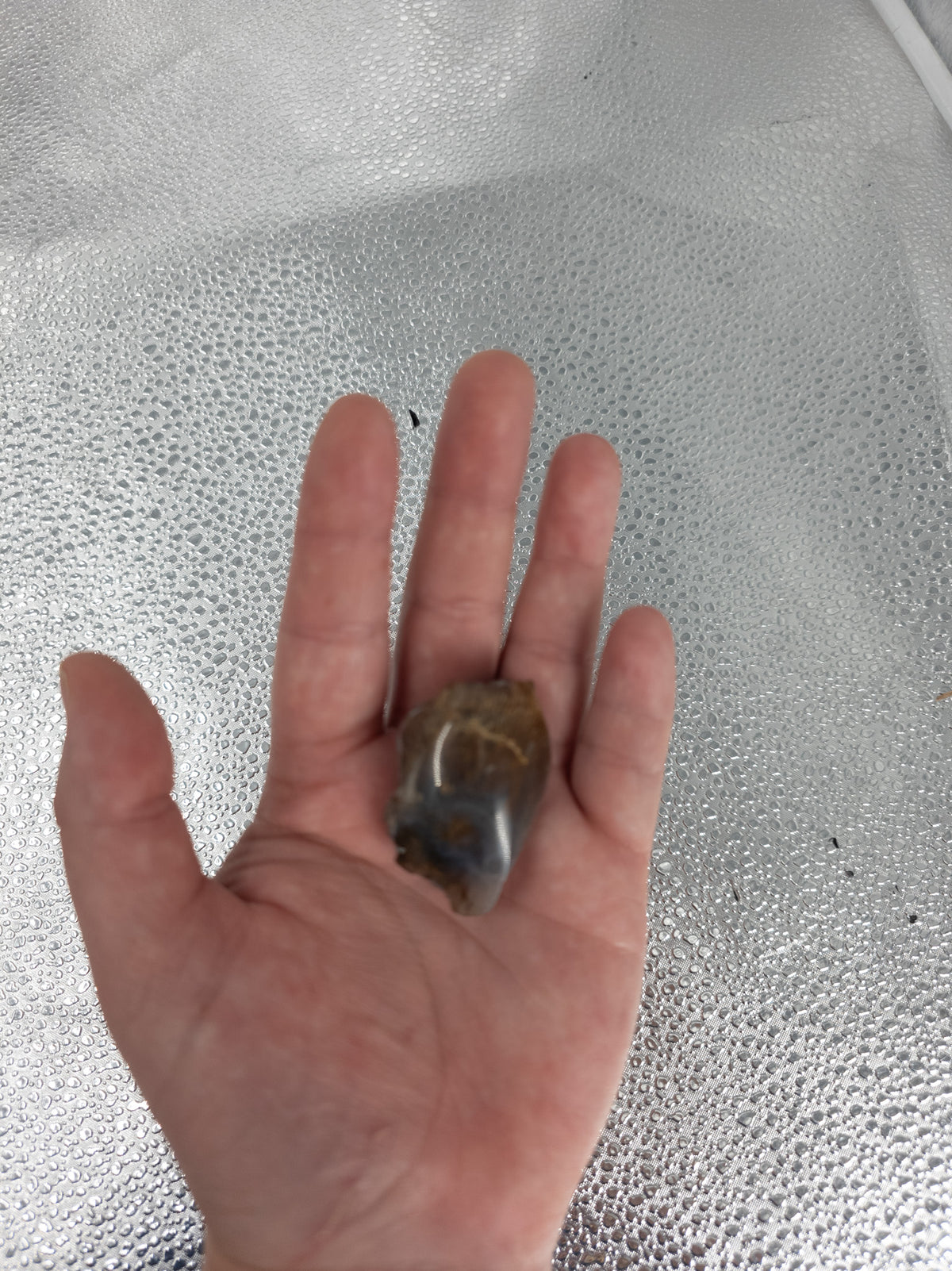 Driftwood Plume Agate