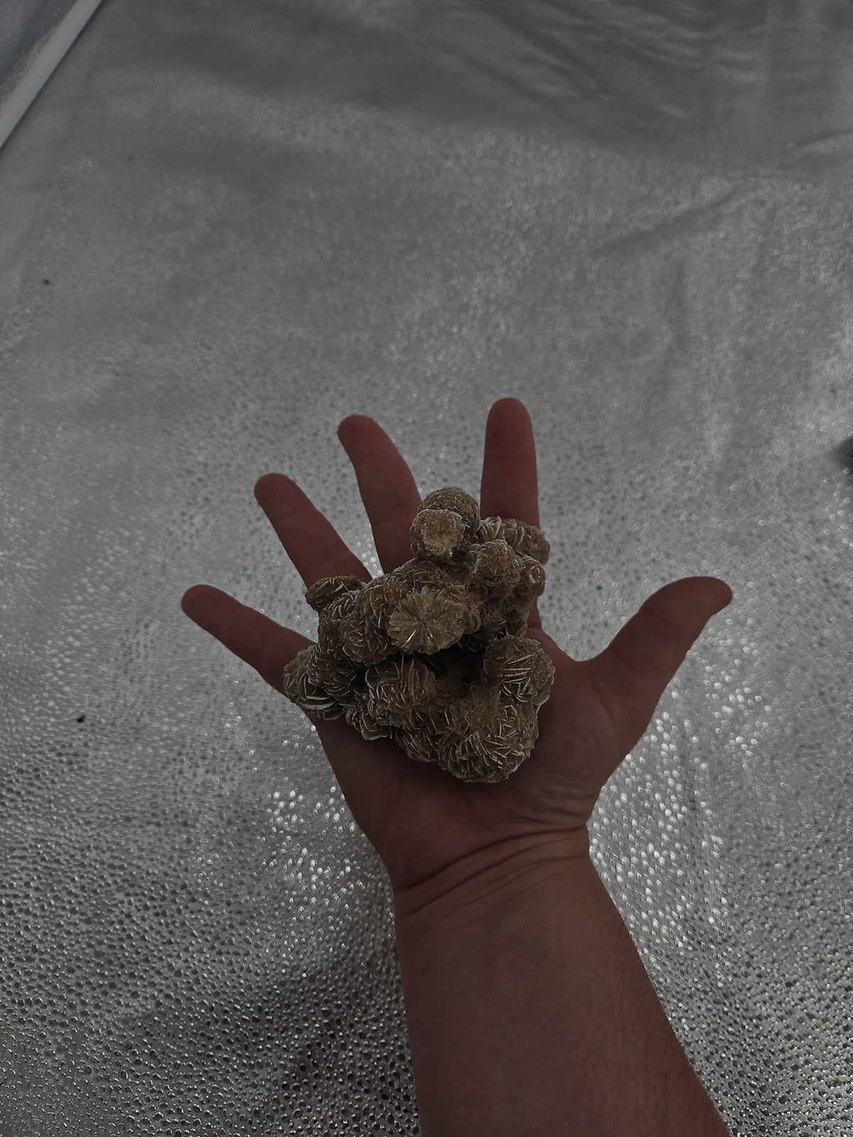 Desert Rose Crystal Cluster