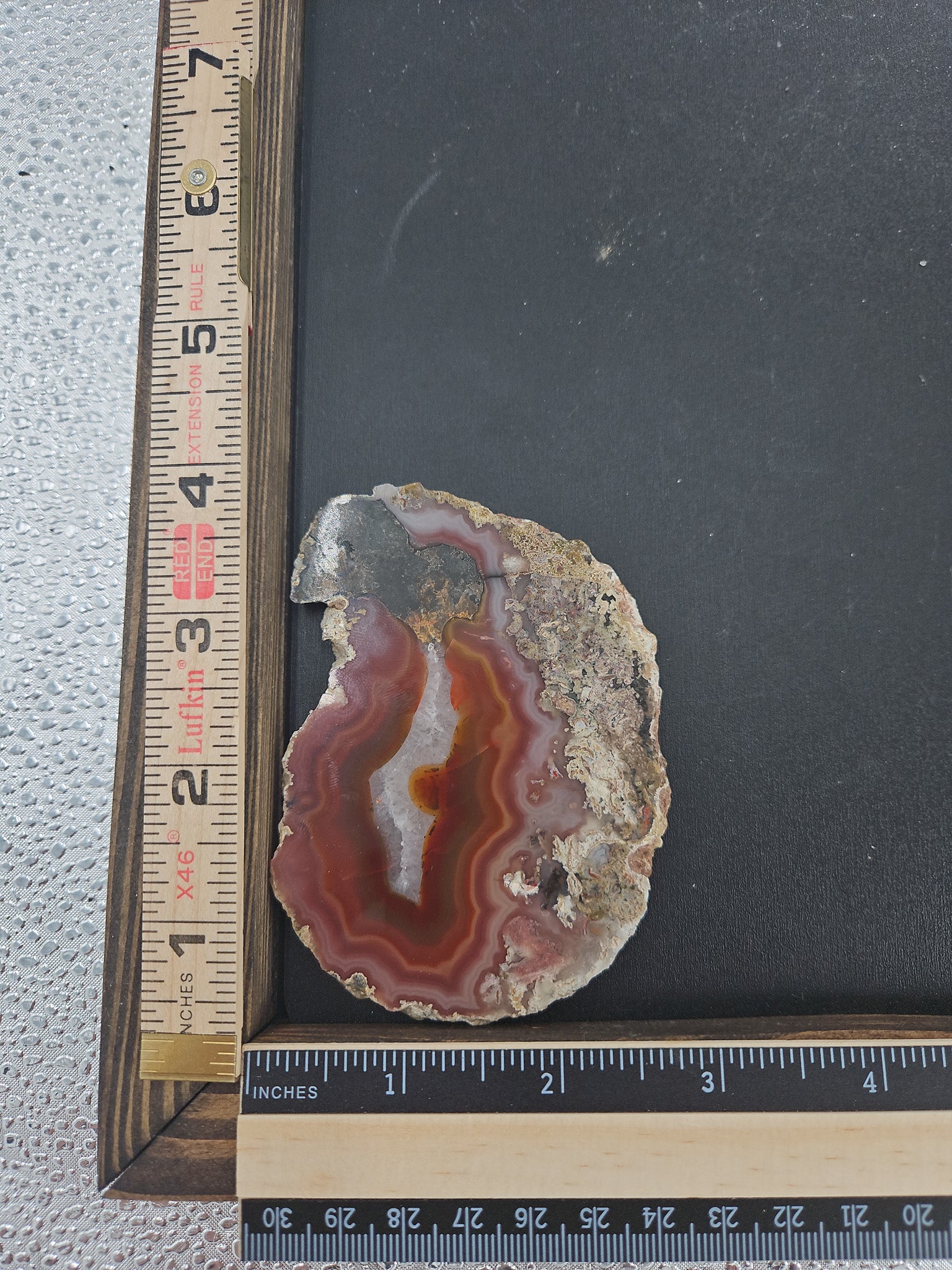 Sunset Vein Laguna Agate - 4 x 3 in, Mexico