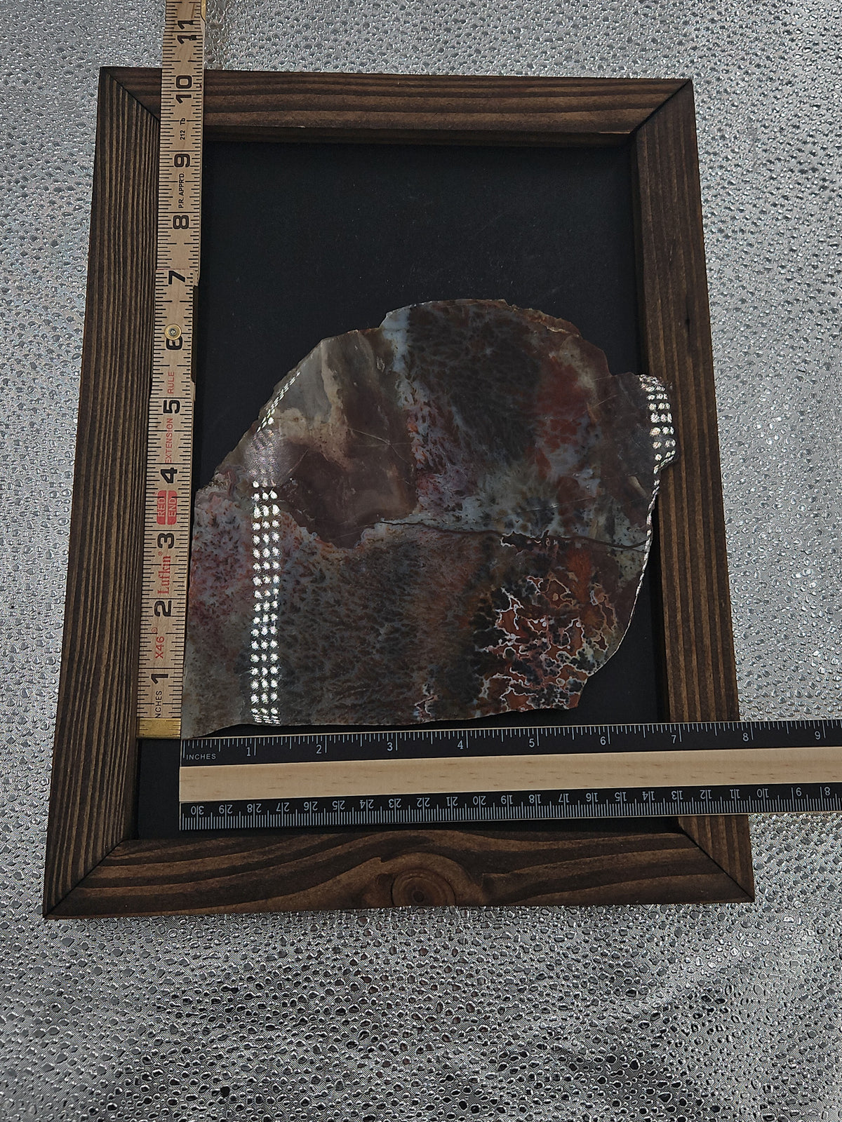 Sagenite Agate Slab - 7 in, Mexico