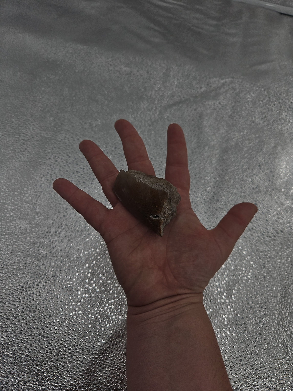 Sagenitic Agate