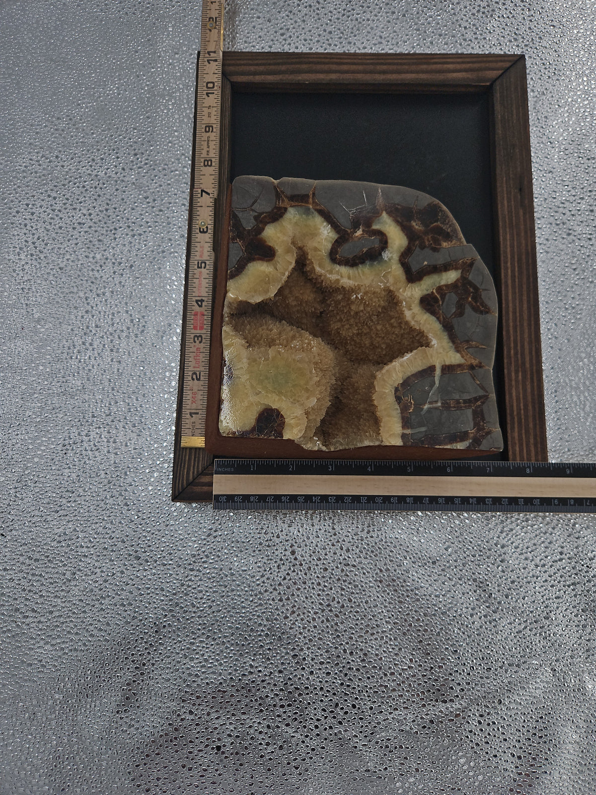 Septarian Nodule Bookends - 6.5 in, Utah