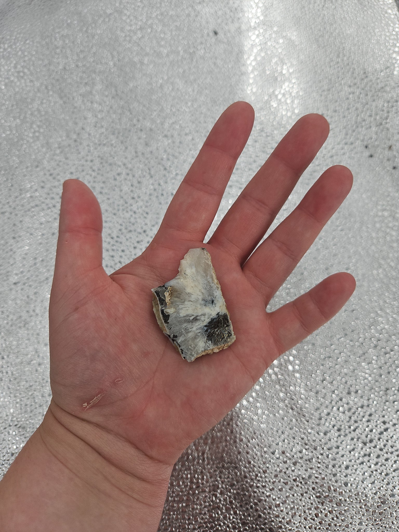 Unique Dendritic Opal