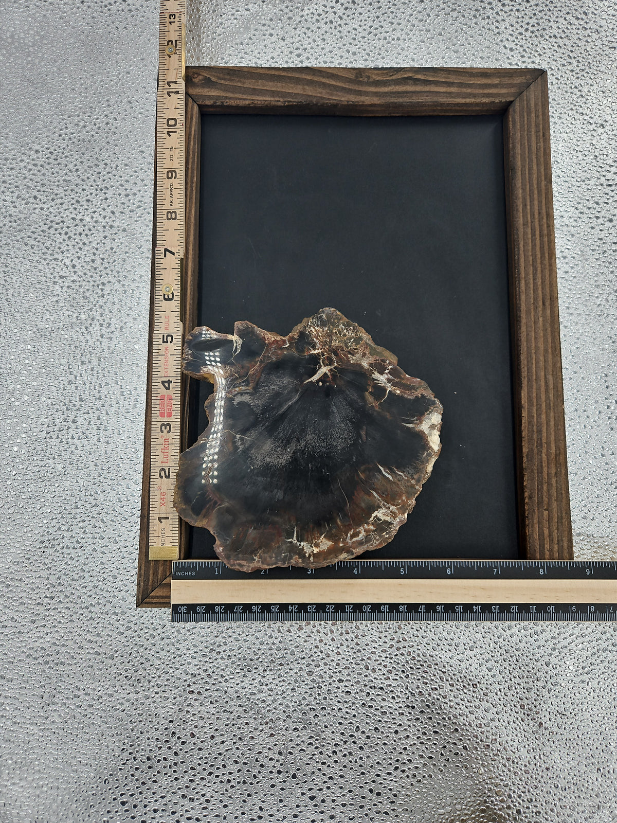 Petrified Wood Slab from Arizona - 6 x 2 in