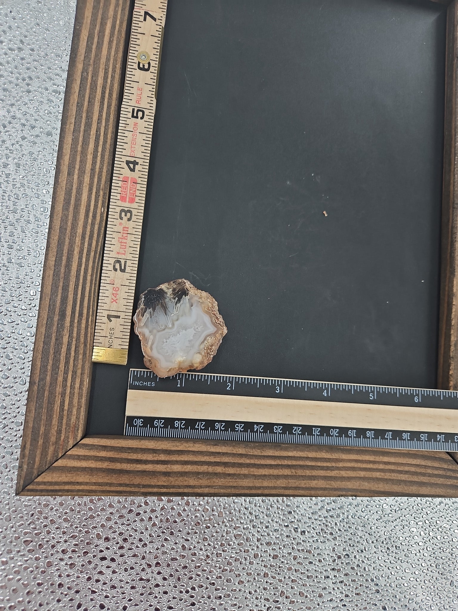 Striking Dendritic Agate from Brazil