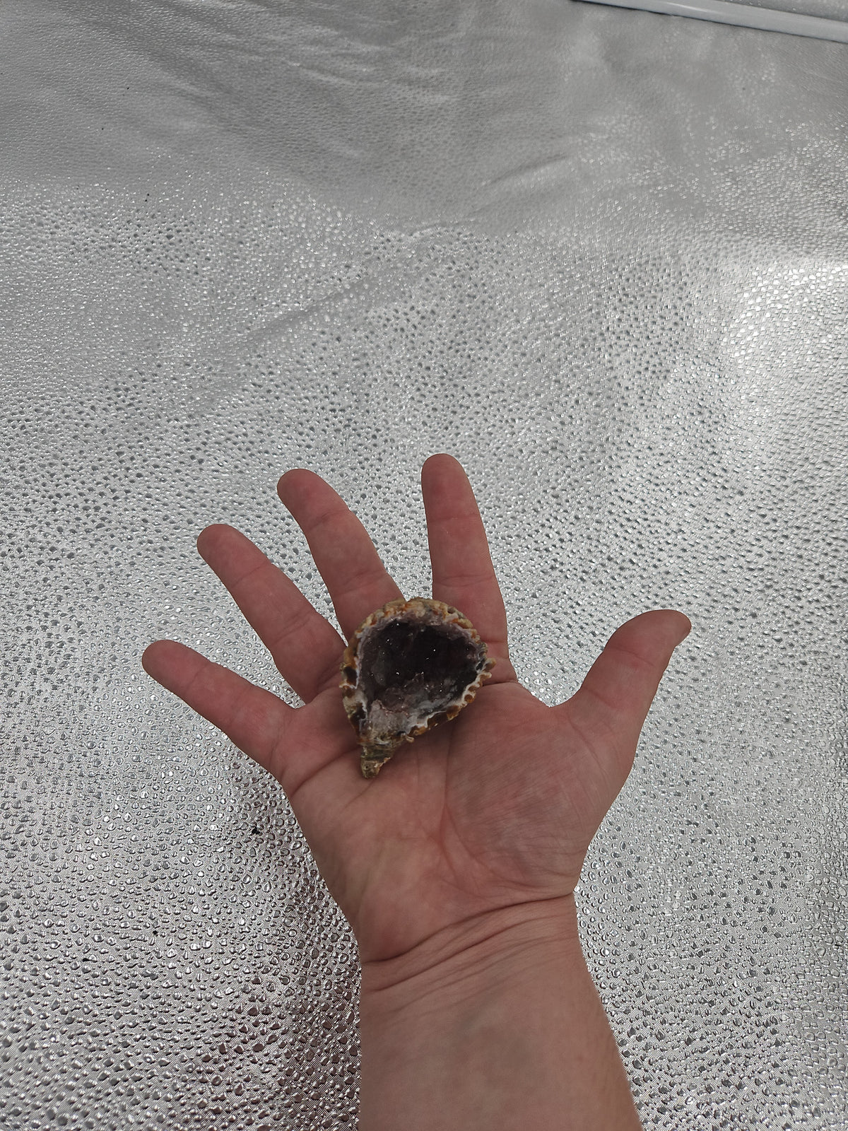 Stunning Druzy Quartz Geode