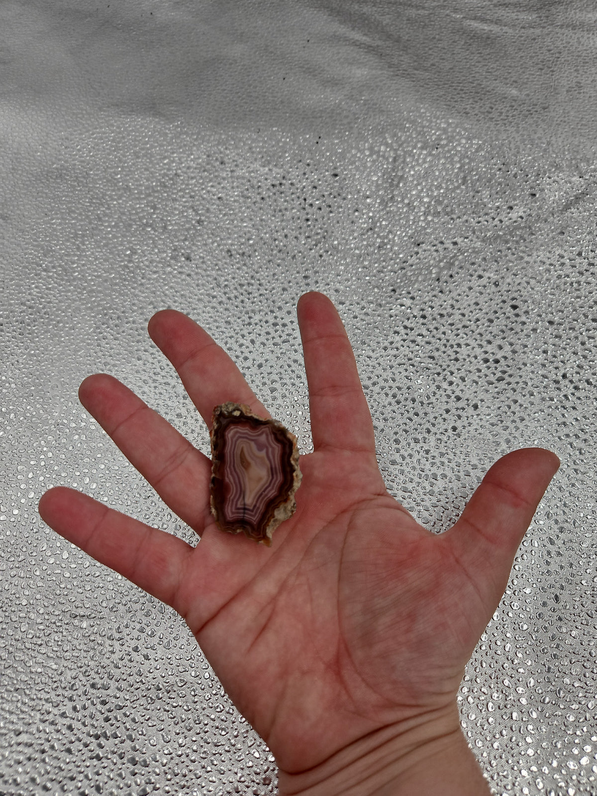Stunning Laguna Agate