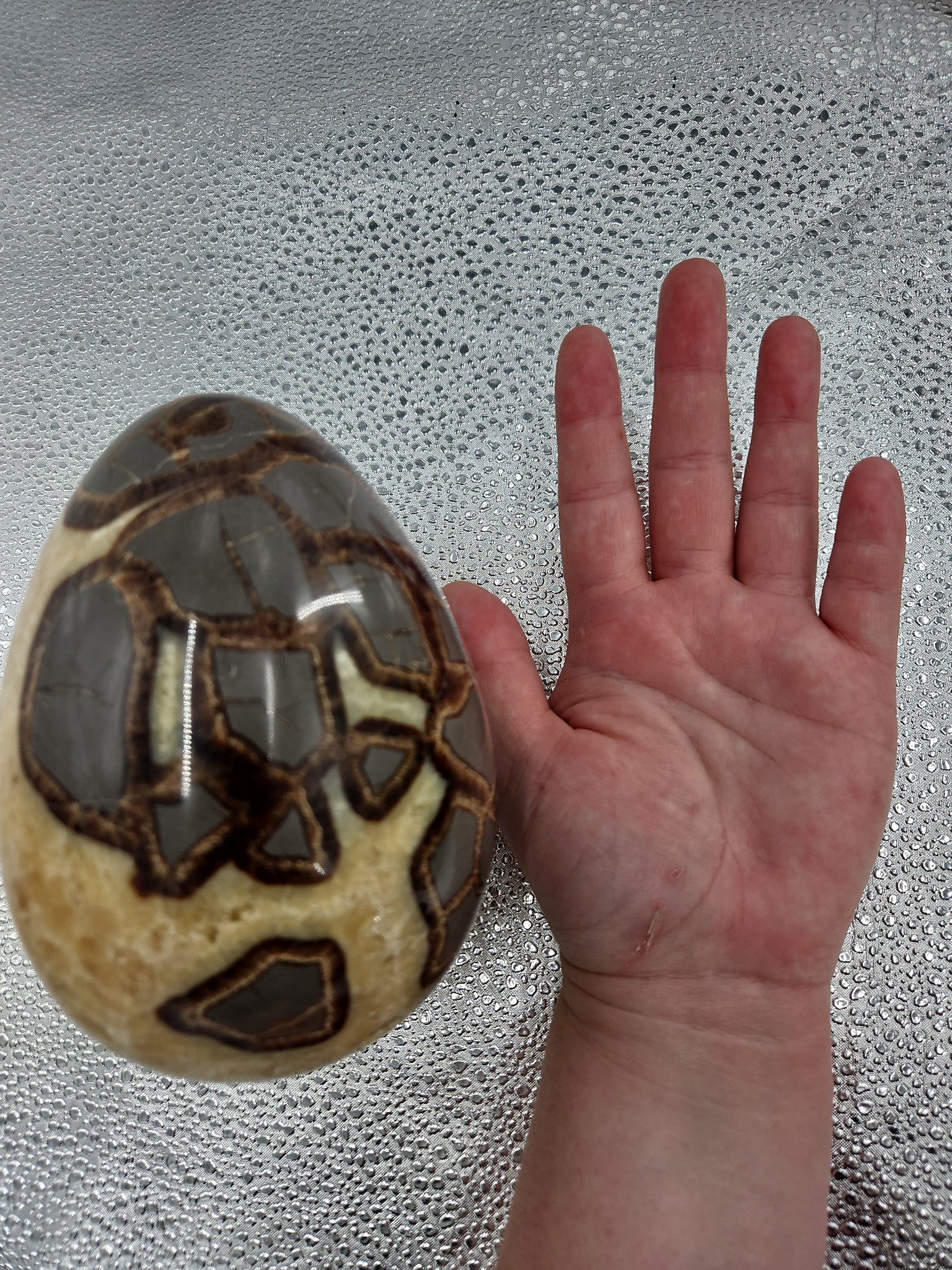Septarian Dragon Egg - Madagascar, 7 in