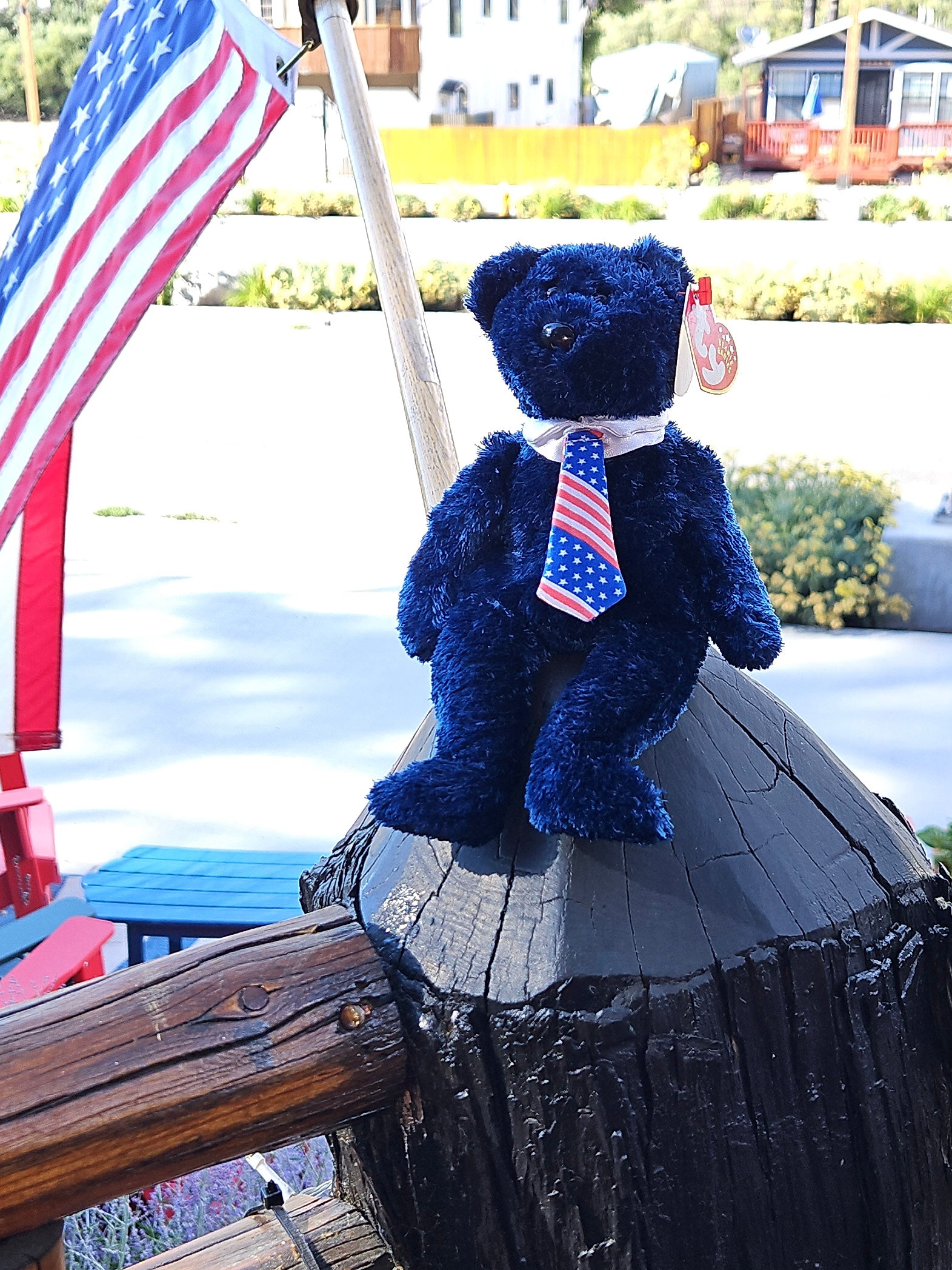 TY Beanie Babies 2002 Pops the Bear