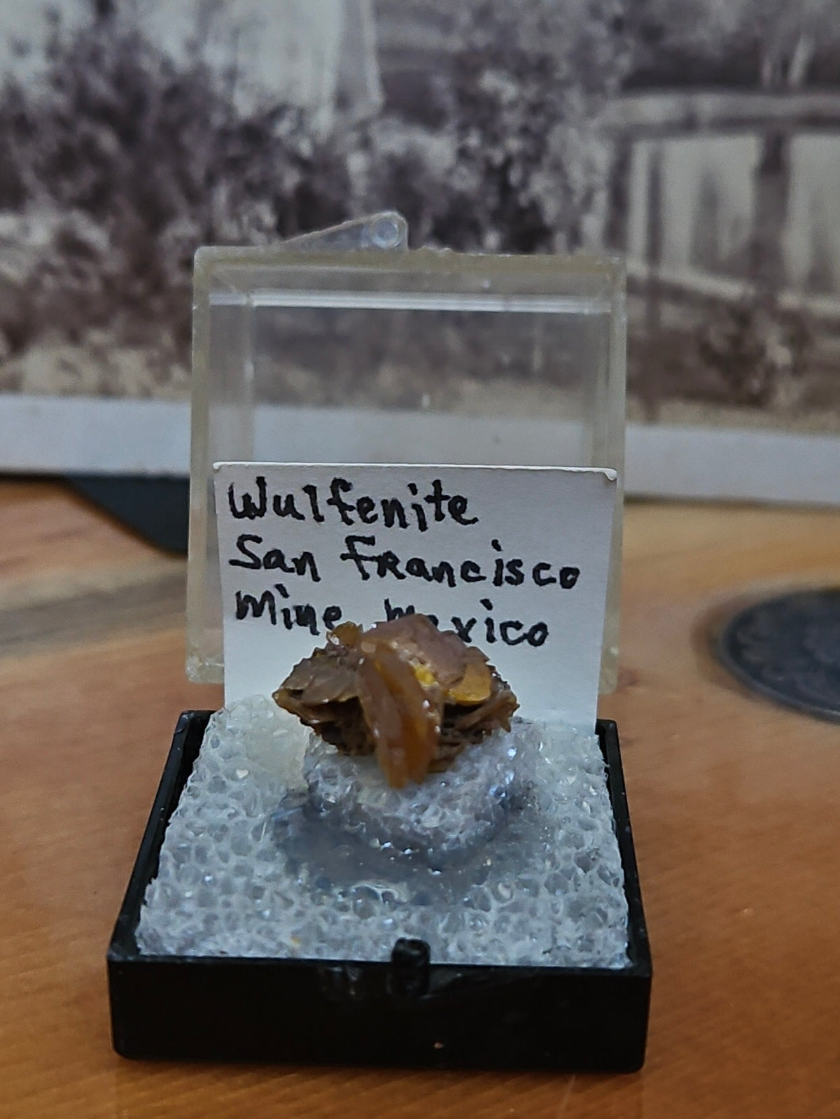 Wulfenite Crystal Display Specimen