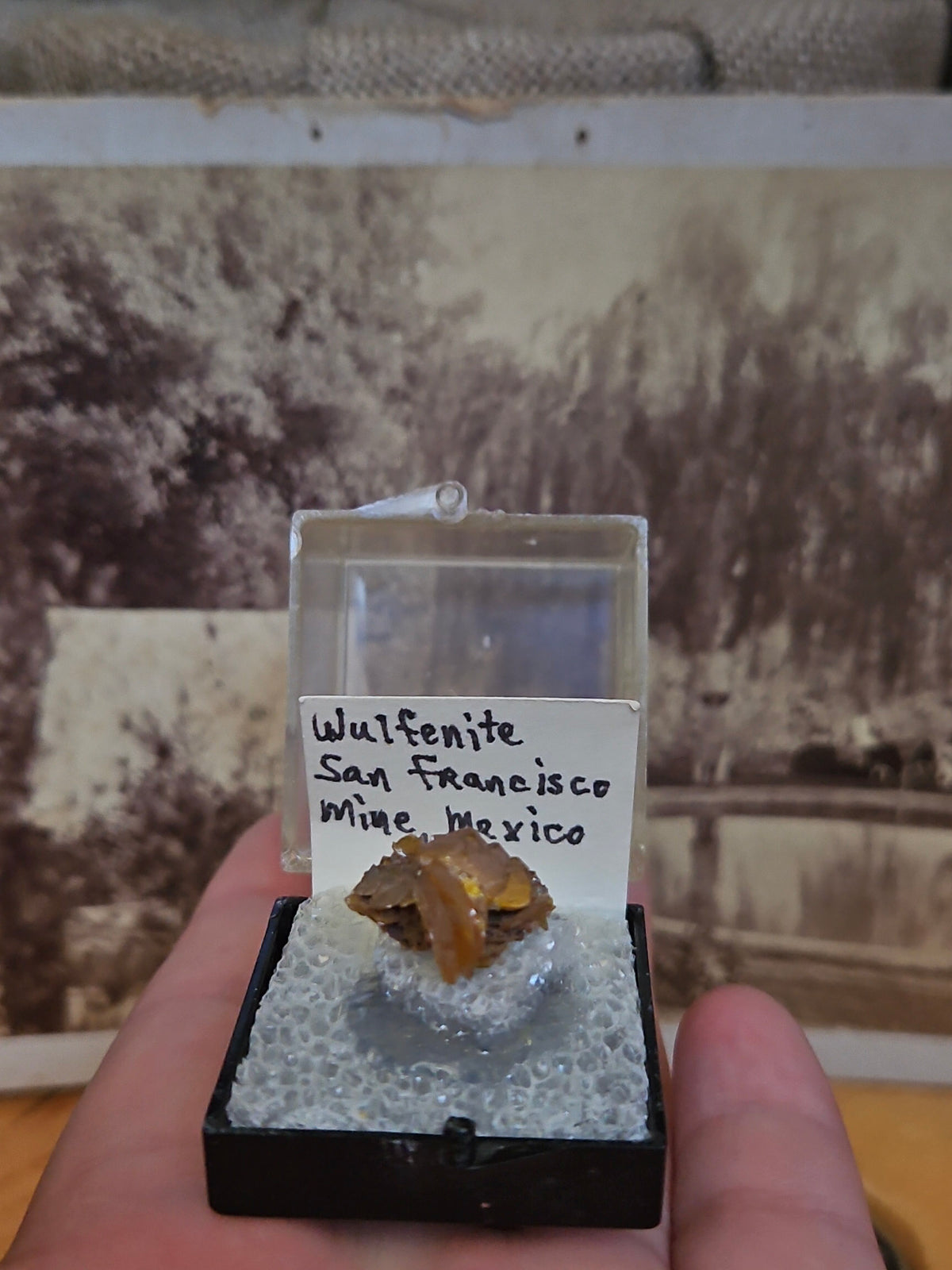 Wulfenite Crystal Display Specimen