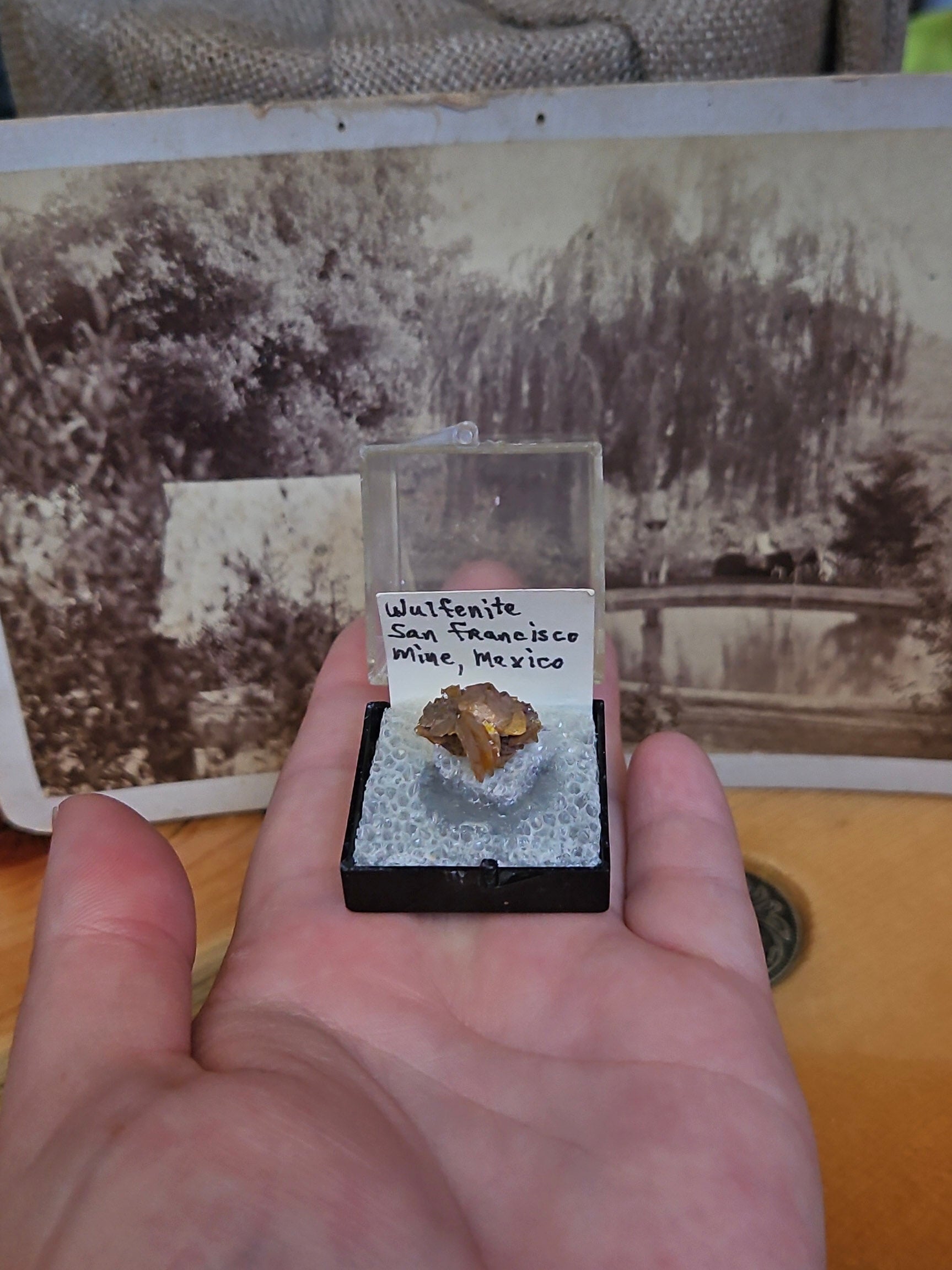 Wulfenite Crystal Display Specimen