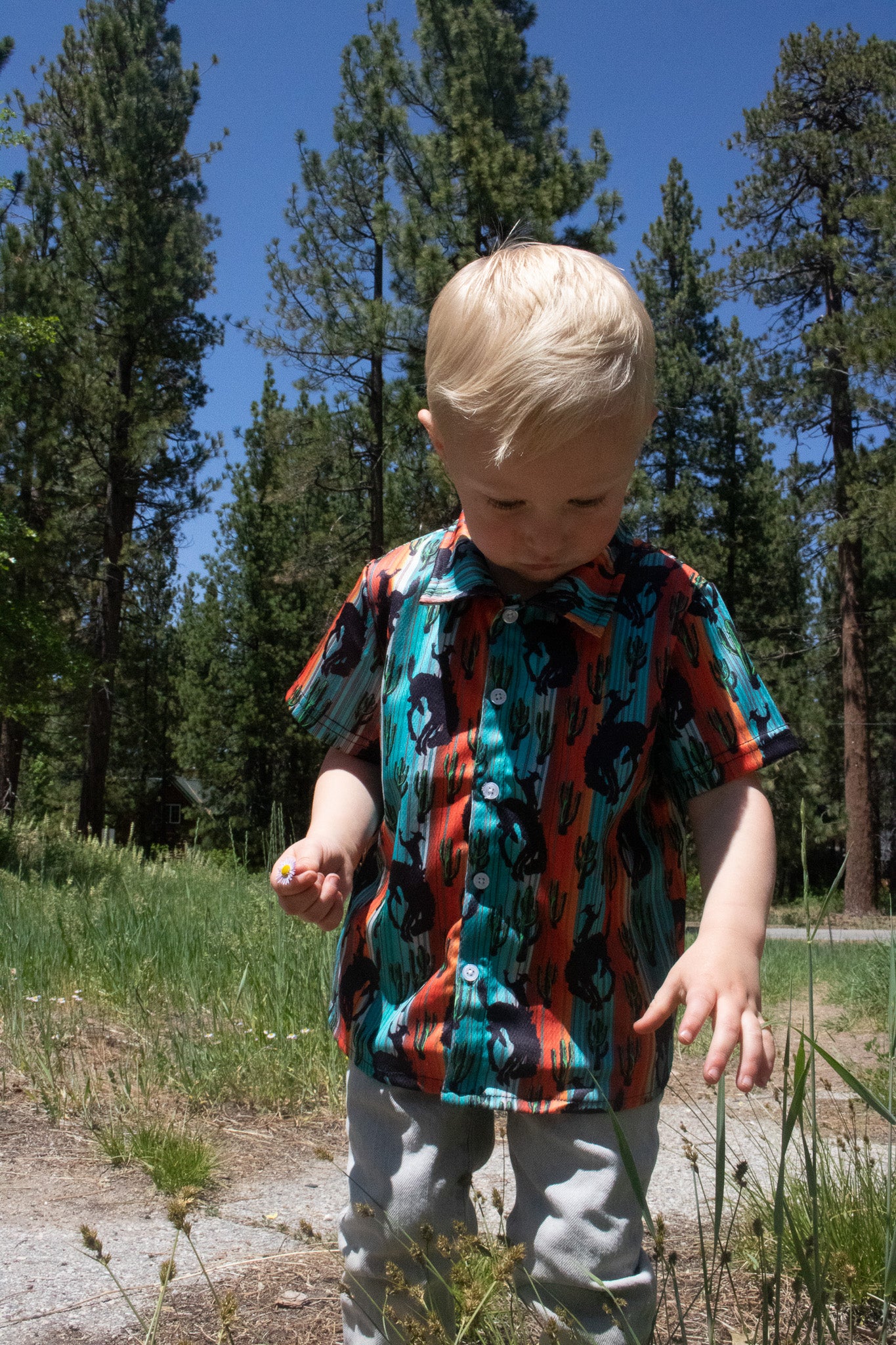 Boys Bull And Cactus Striped Short Sleeves Button Down Shirt Multicolor