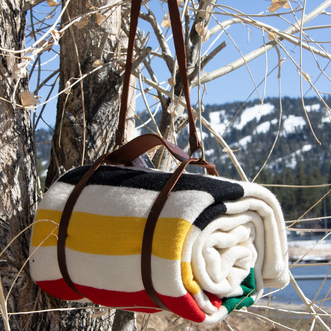 Pendleton National Park Throw Blanket with Leather Strap Acadia Classic Multi Color Stripes