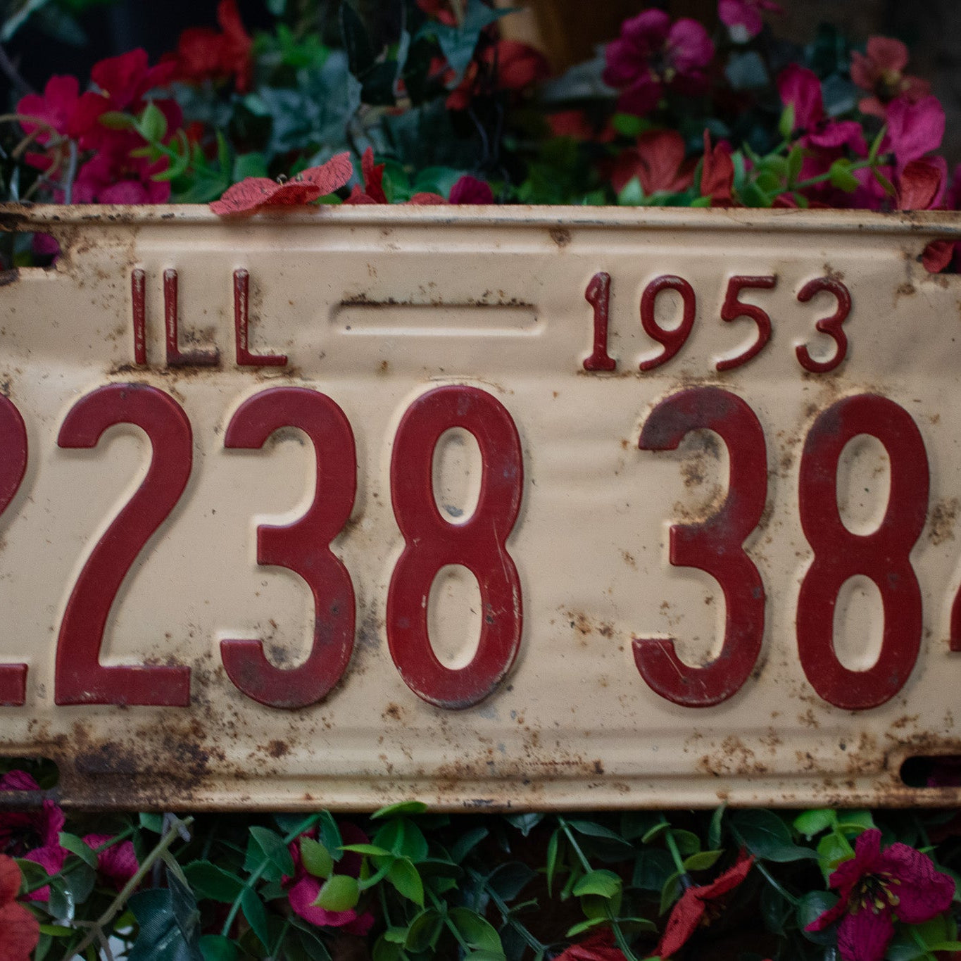 Vintage Illinois 1953 License Plate