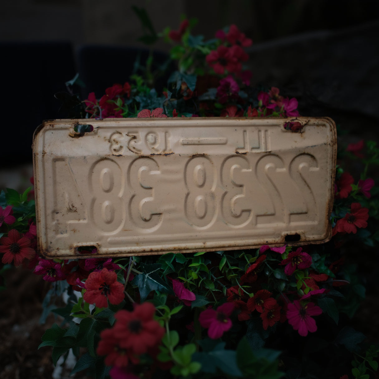 Vintage Illinois 1953 License Plate