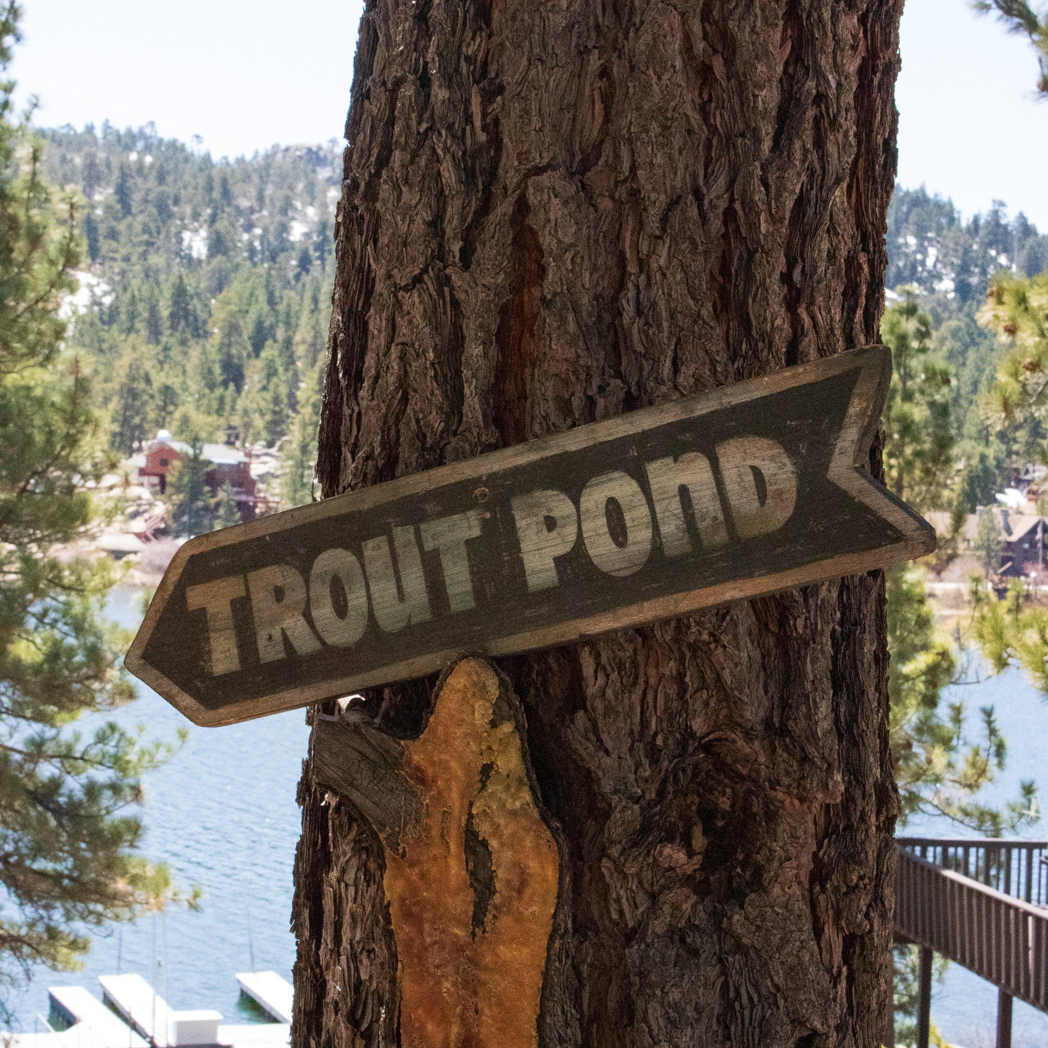 "Trout Pond" Wooden Novelty Sign