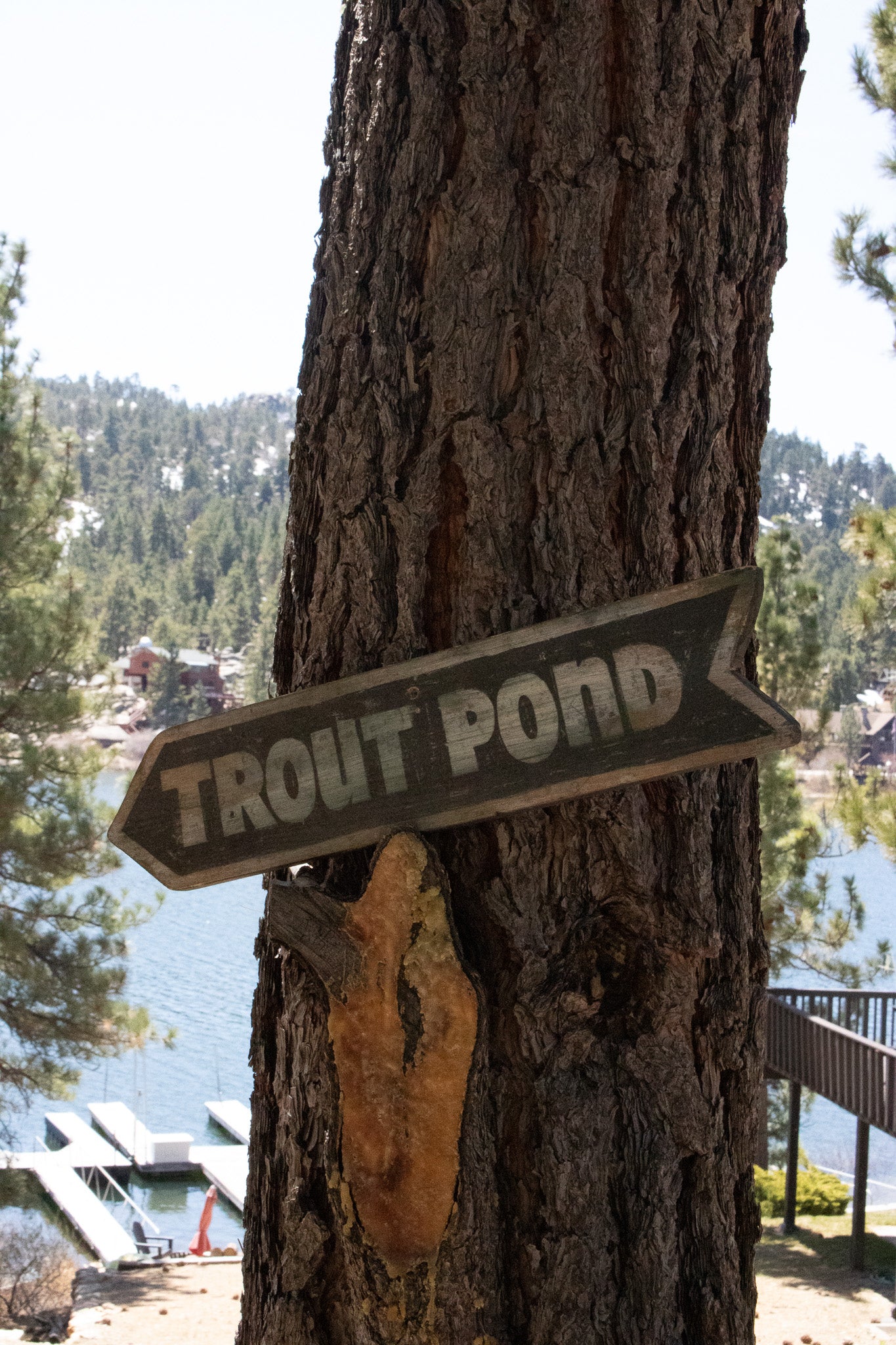 "Trout Pond" Wooden Novelty Sign