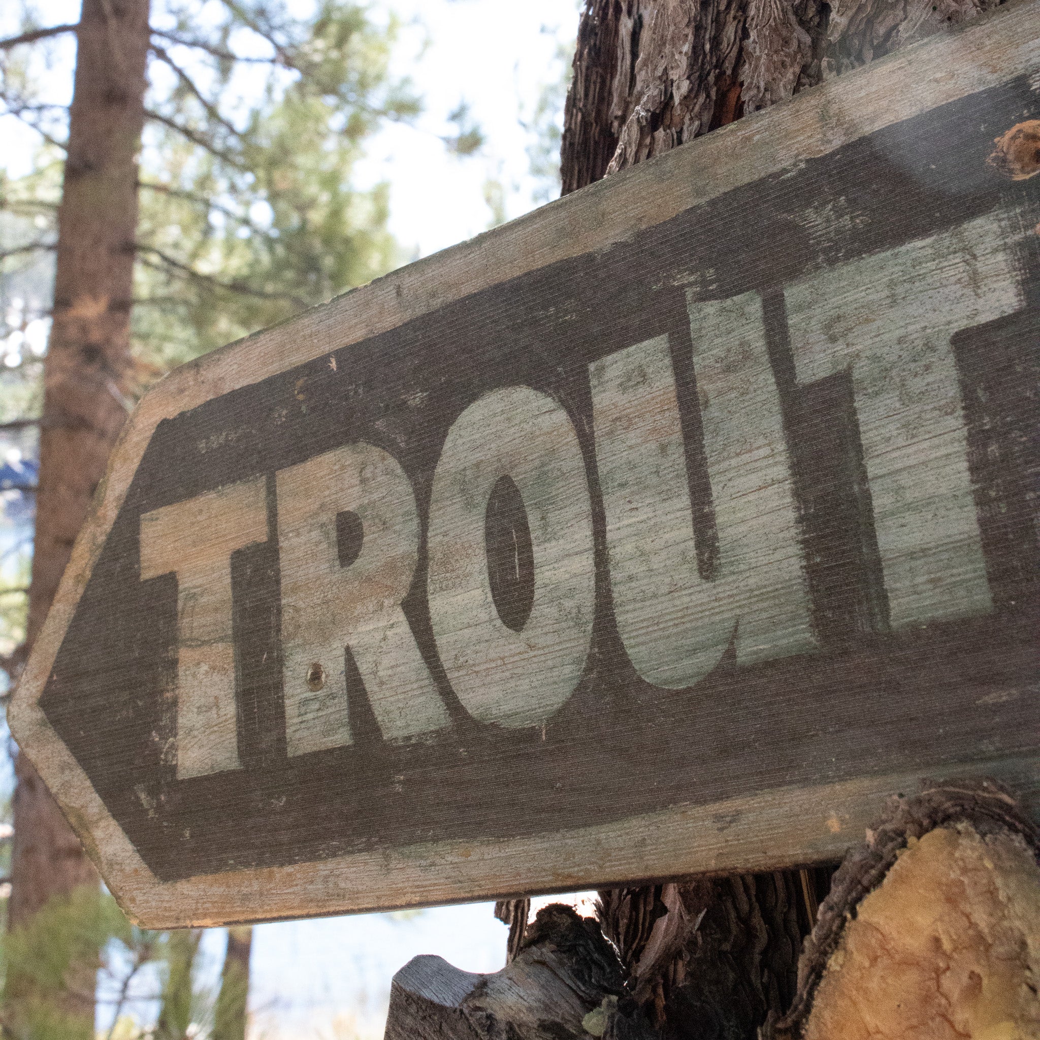 "Trout Pond" Wooden Novelty Sign