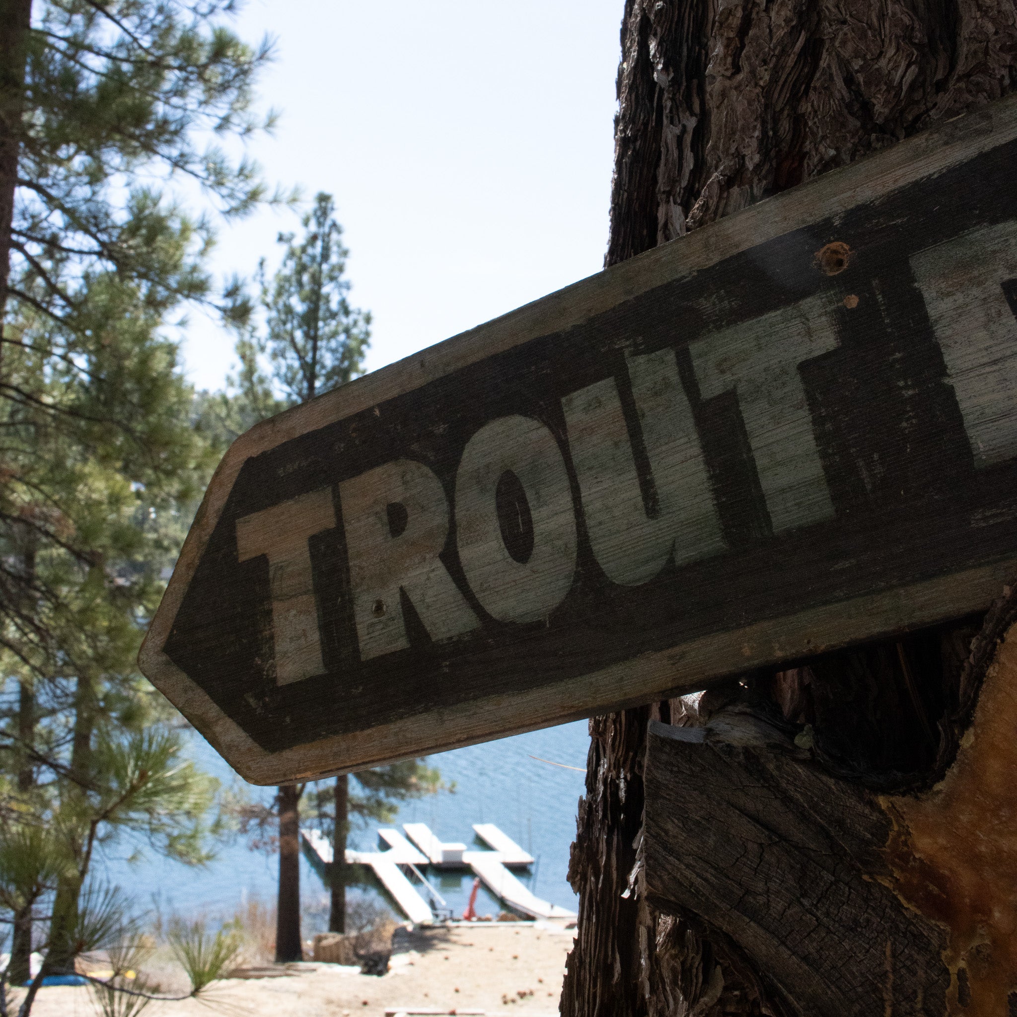 "Trout Pond" Wooden Novelty Sign