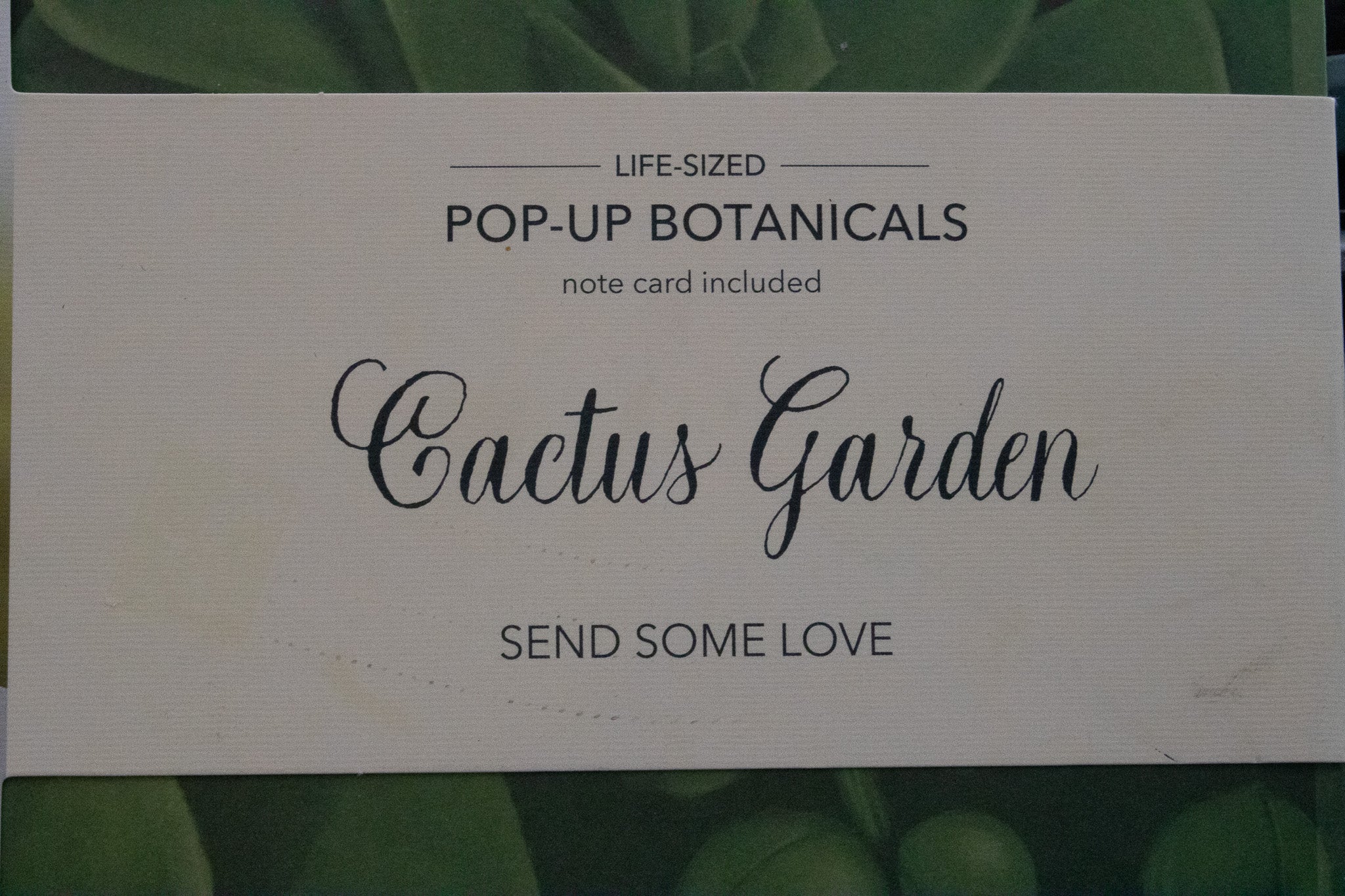 Life-Sized Paper Cactus Garden Pop-Up Botanical Creations