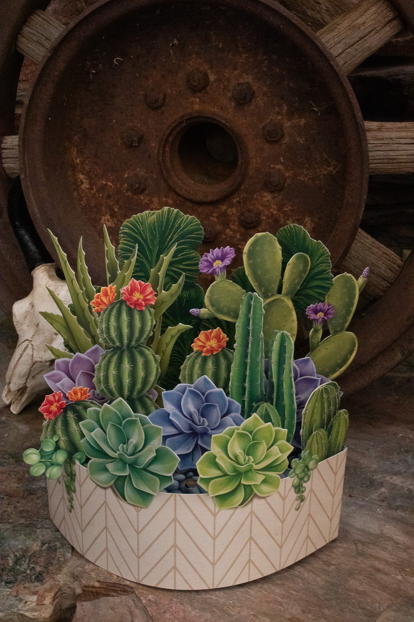Life-Sized Paper Cactus Garden Pop-Up Botanical Creations