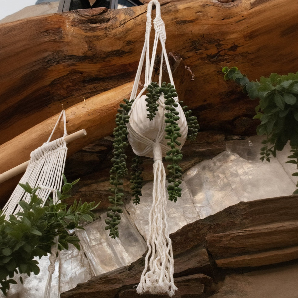 6-Pack Macrame Hanging Plant Holders – Indoor Planters with Hooks for Stylish Display.