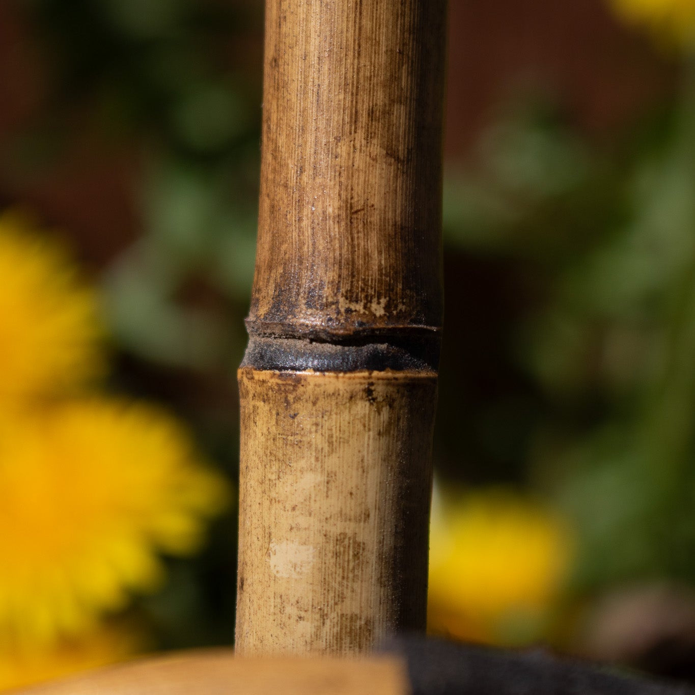 Vintage Wooden Bamboo Leather Ski Poles Set of 2 poles