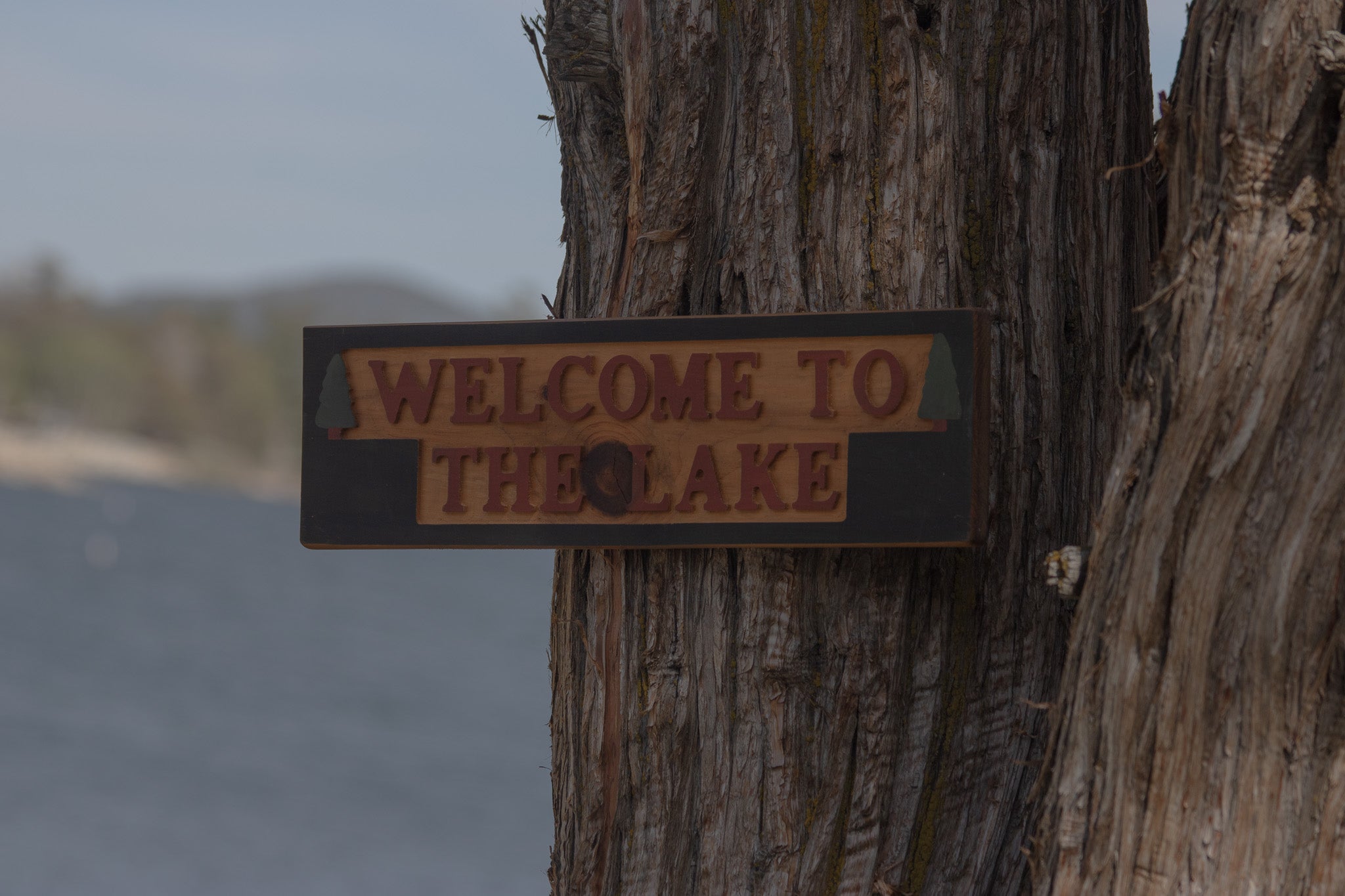 "Welcome To the Lake" Wooded Sign