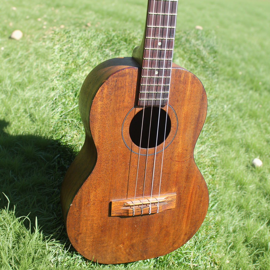 Baritone Ukulele
