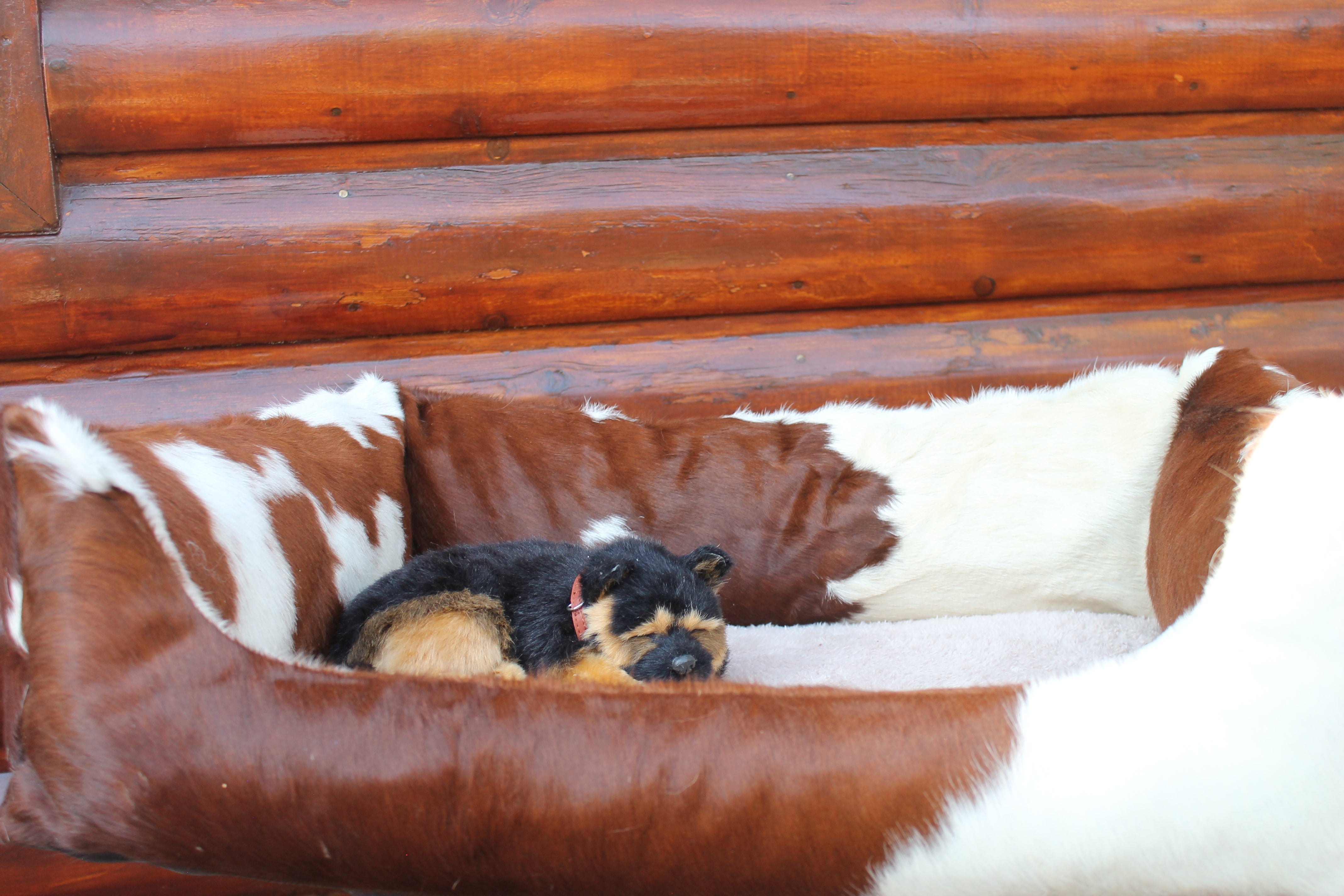 Brown and White Luxury Cowhide Pet Bed, Removable Washable Cushion