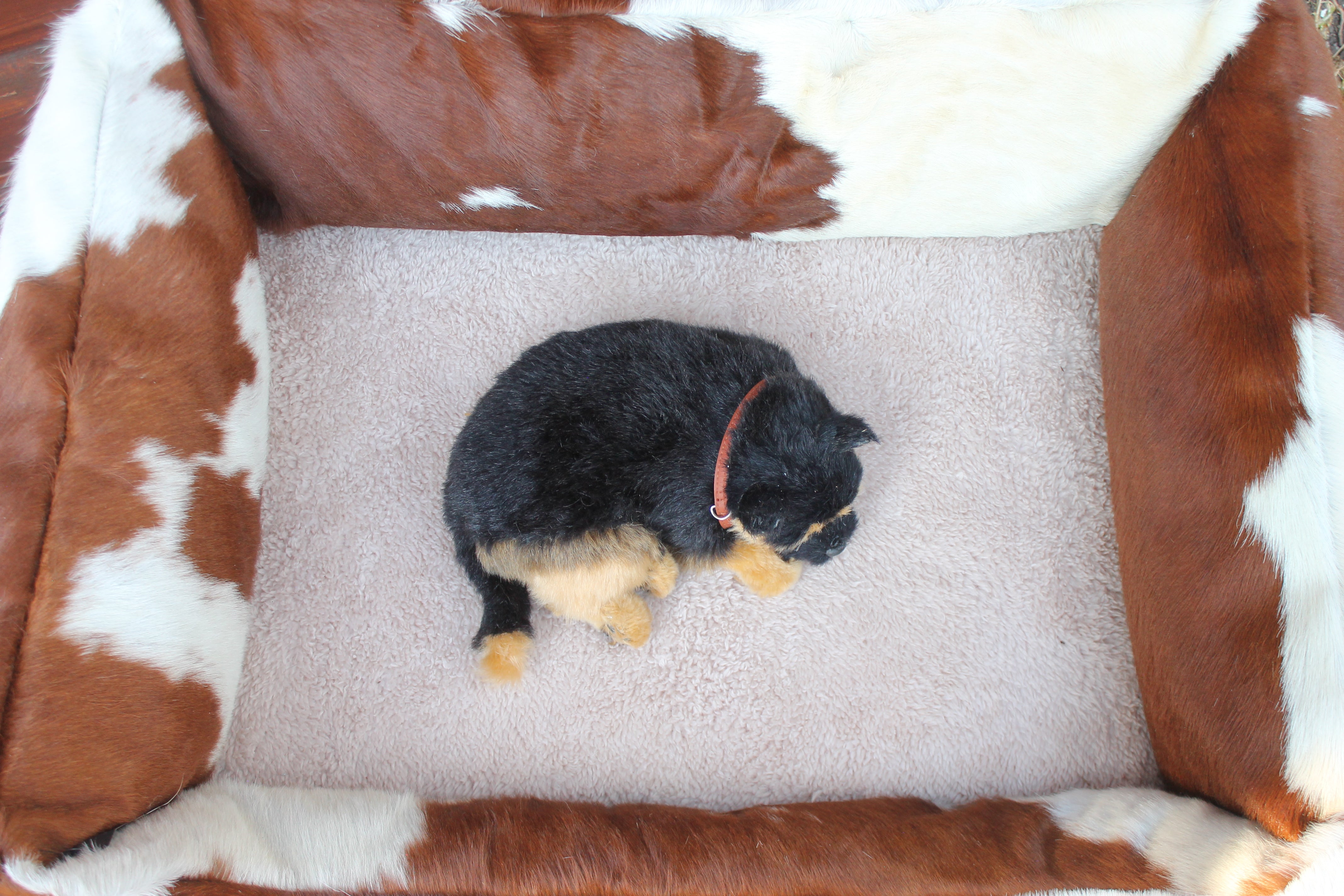 Brown and White Luxury Cowhide Pet Bed, Removable Washable Cushion