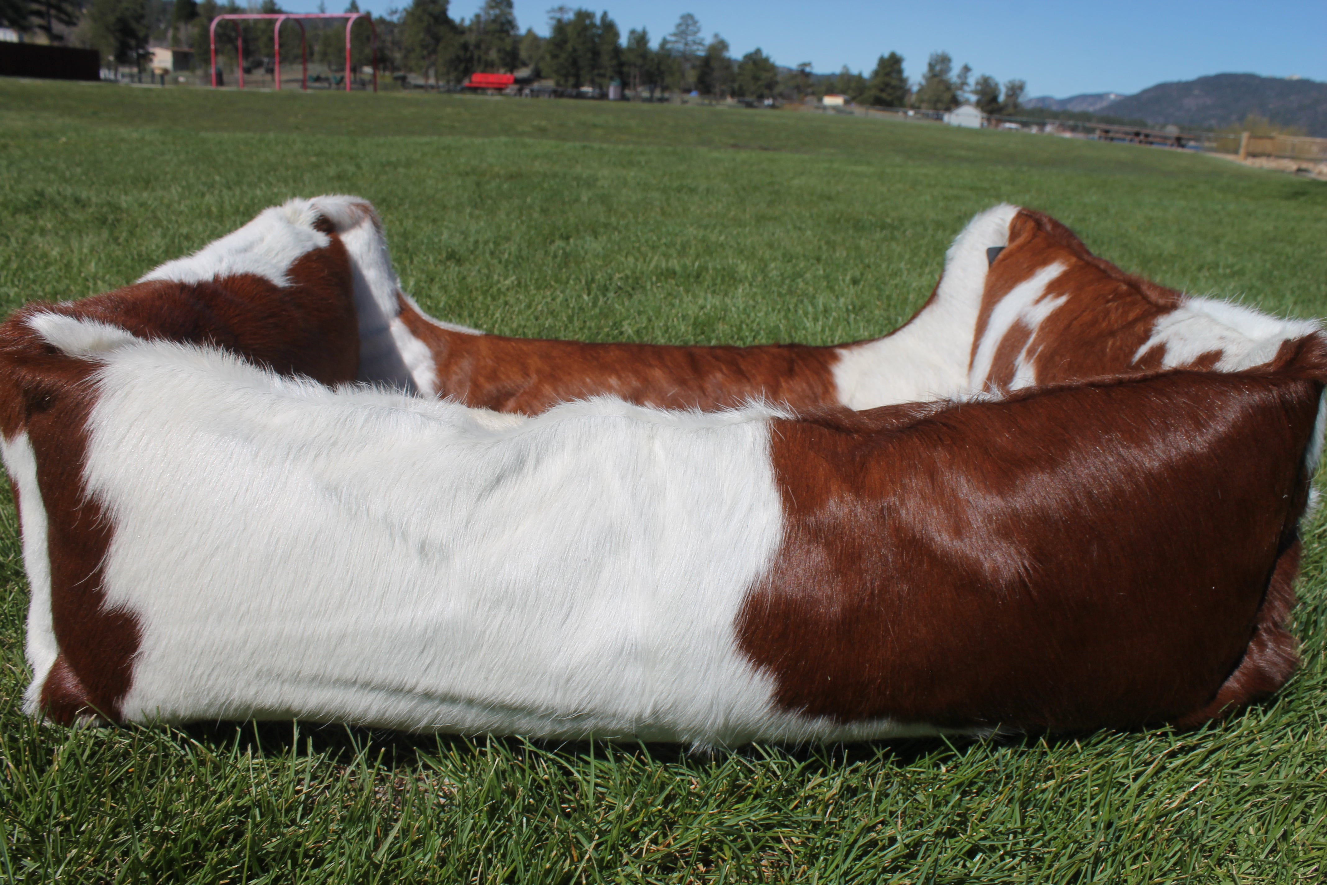 Brown and White Luxury Cowhide Pet Bed, Removable Washable Cushion