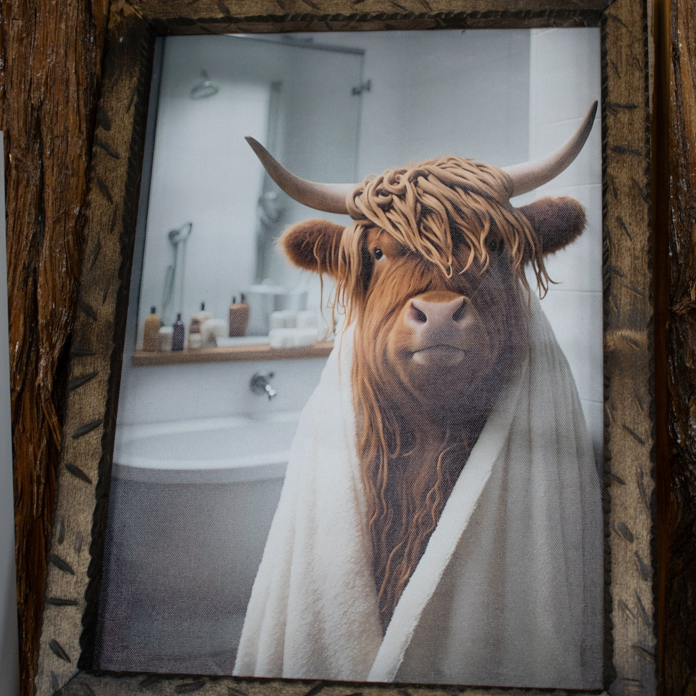 Highland Cow Canvas Wrapped Cozy In A Towel With a Custom Wood Frame