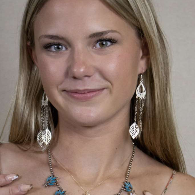 silver feather dangle earrings boho long chain drop western style earrings