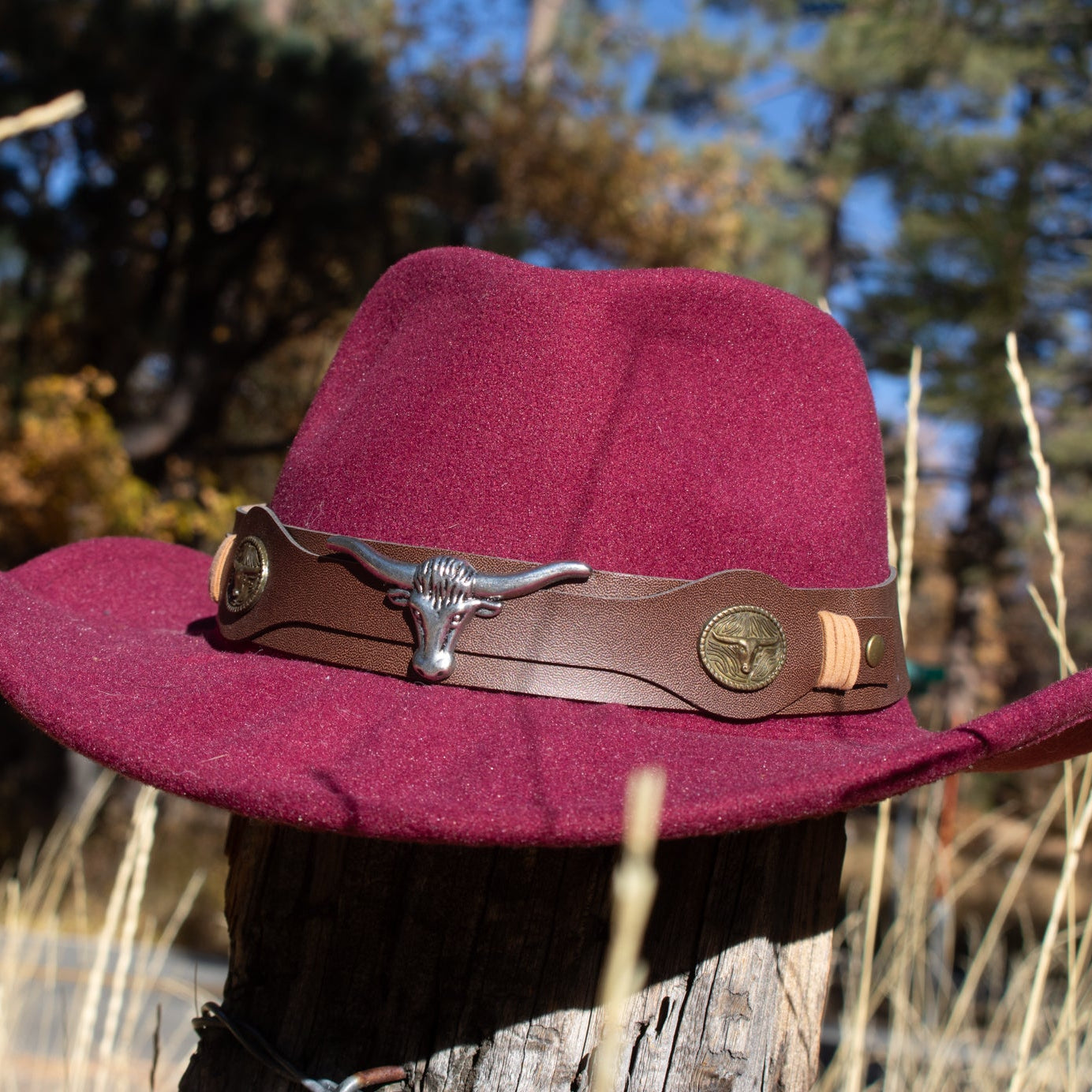 Bull Head Belt Western Cowboy Hat Felt