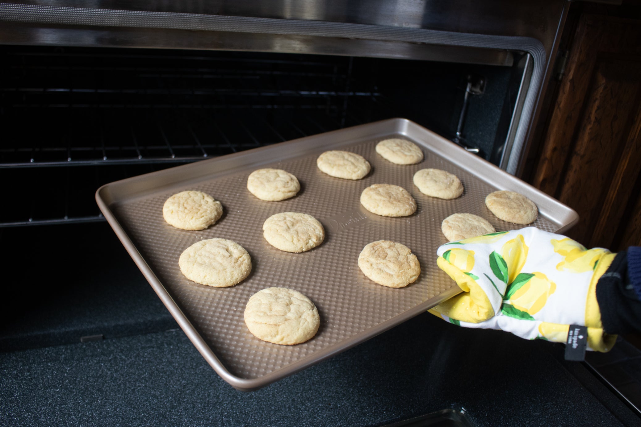 David Burks- cookie sheet set- 2 piece 11X17" and 10"X 15"