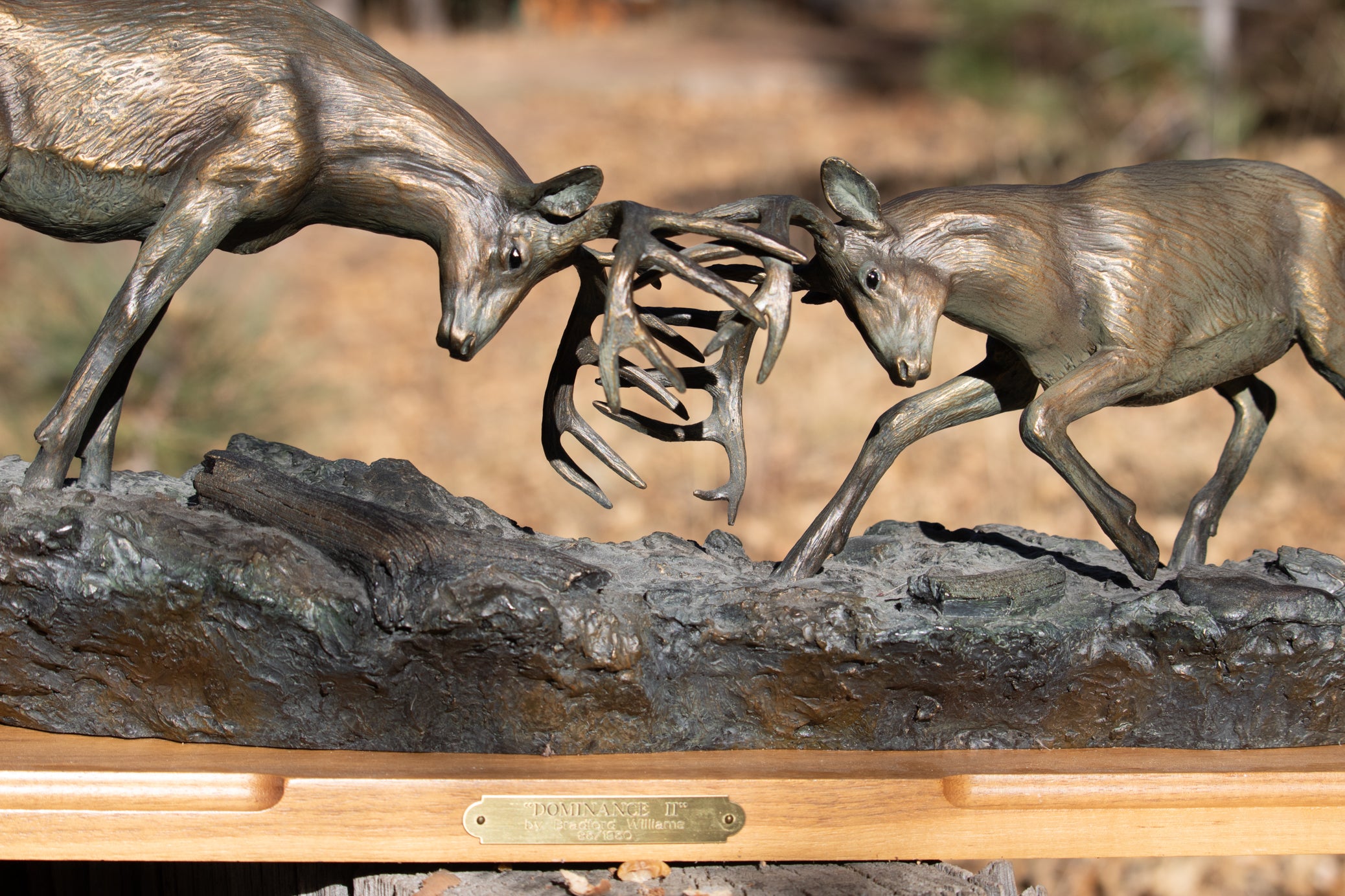 "Dominance II" By Bradford Williams 85/ 1950. Bronze sculpture depicts two fighting whitetail bucks