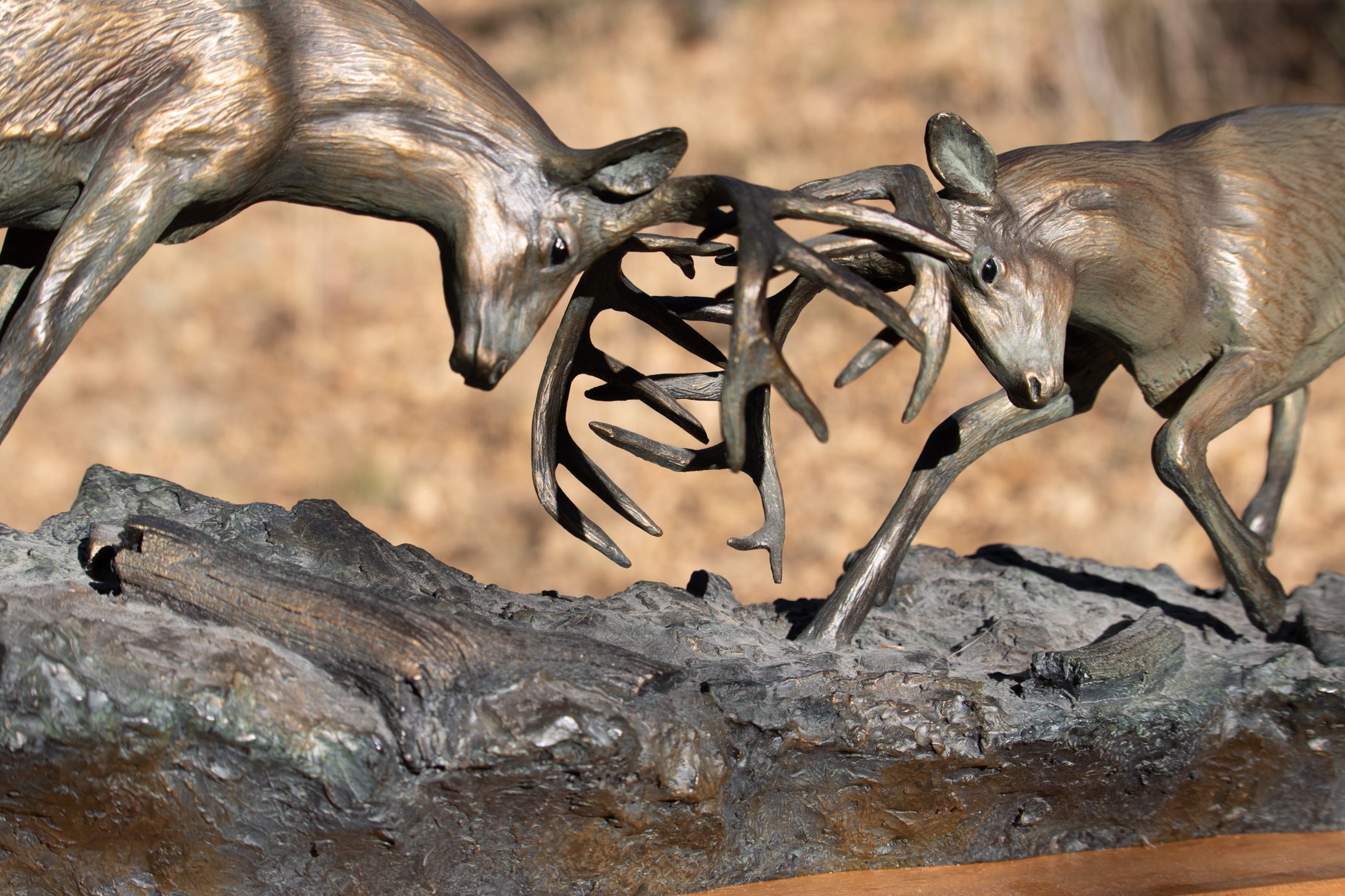 "Dominance II" By Bradford Williams 85/ 1950. Bronze sculpture depicts two fighting whitetail bucks
