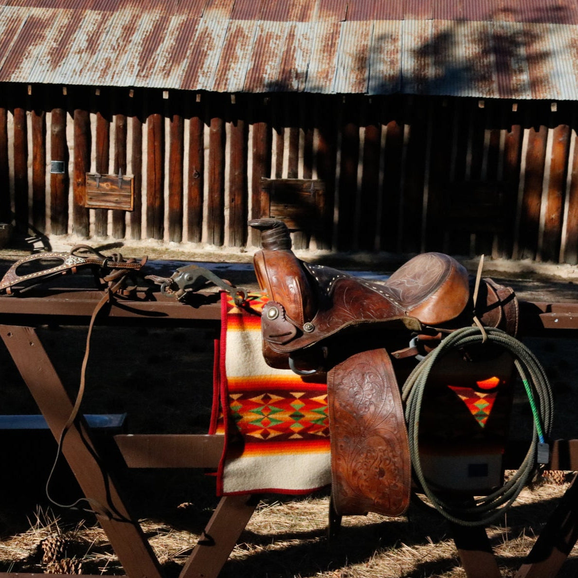 Vintage Lone Star 15 1/4Inch Show Saddle