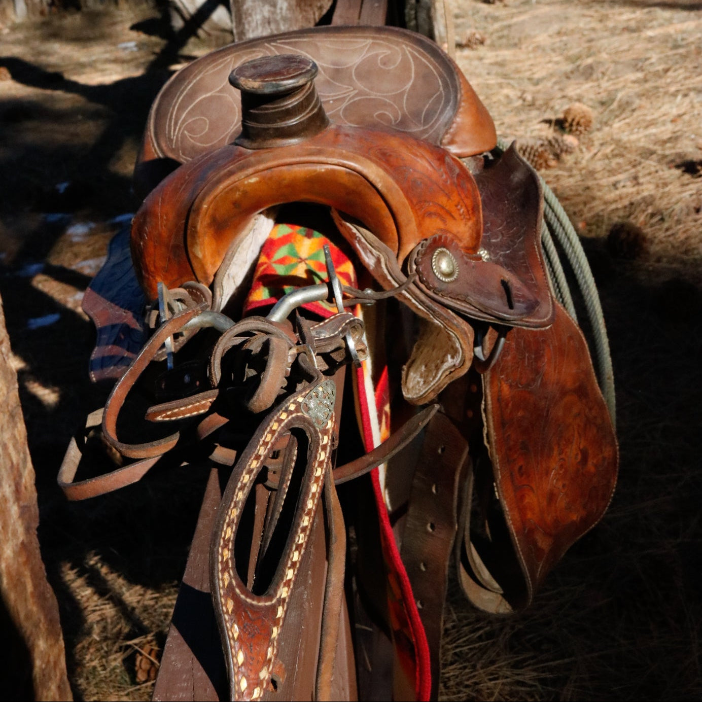Vintage Lone Star 15 1/4Inch Show Saddle