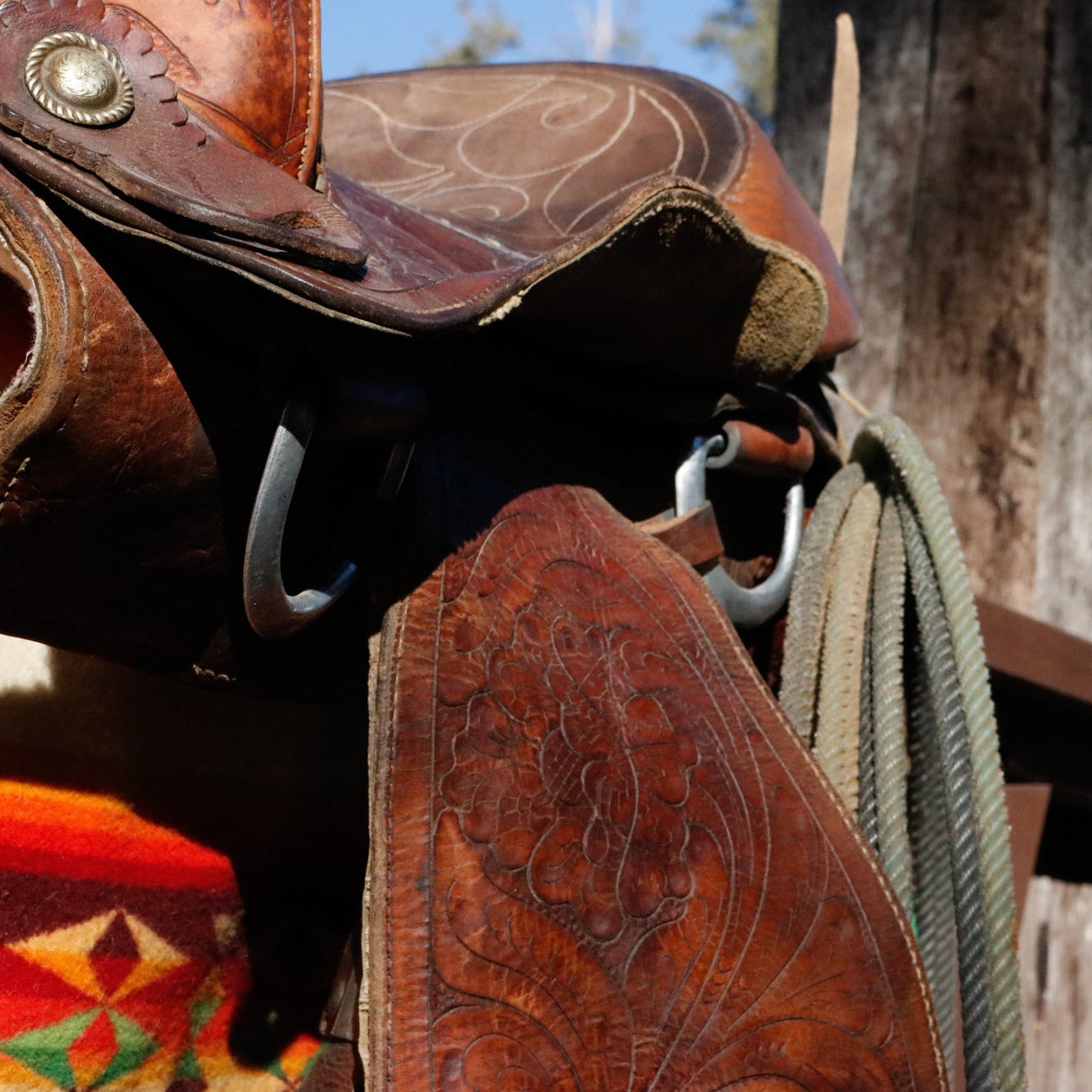 Vintage Lone Star 15 1/4Inch Show Saddle