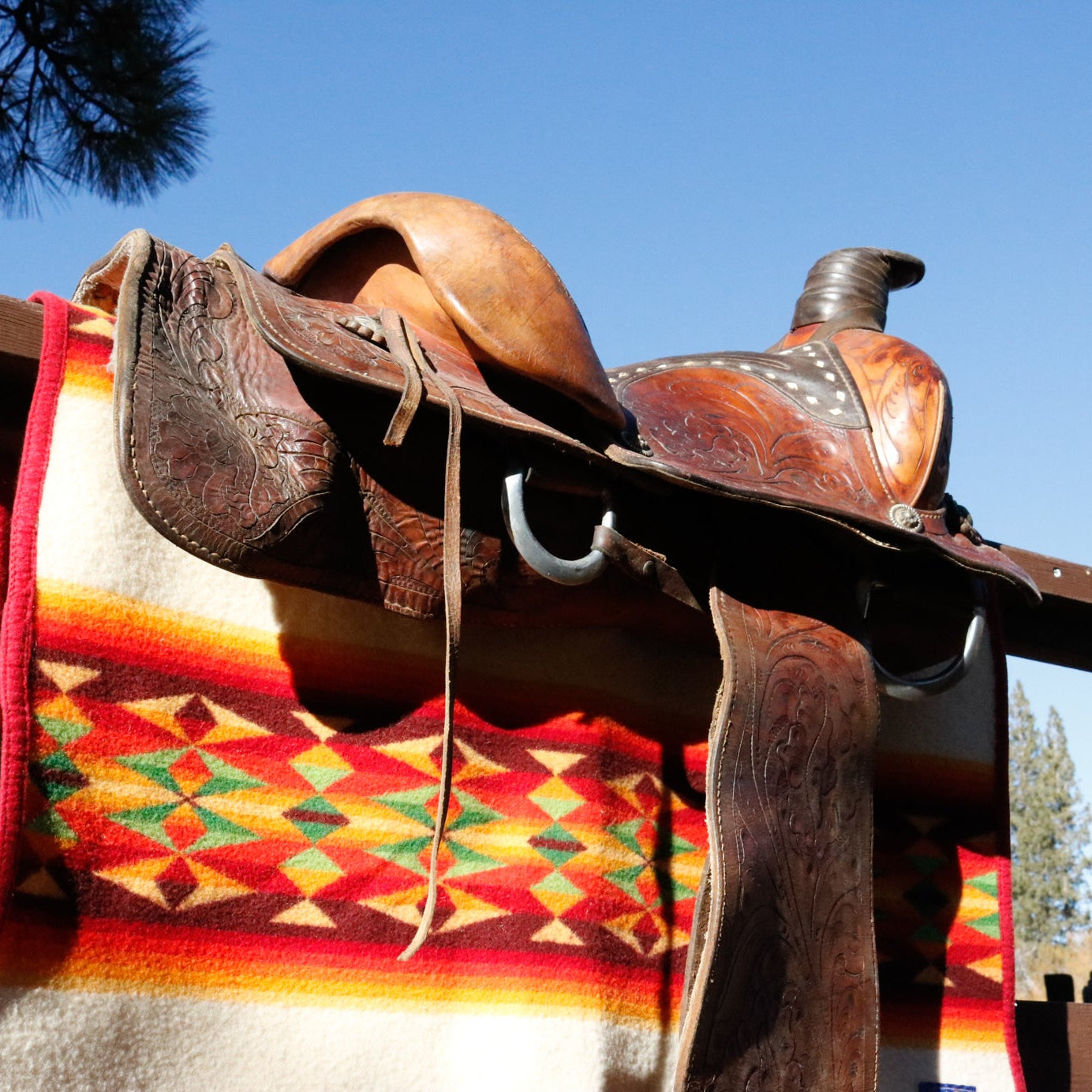 Vintage Lone Star 15 1/4Inch Show Saddle
